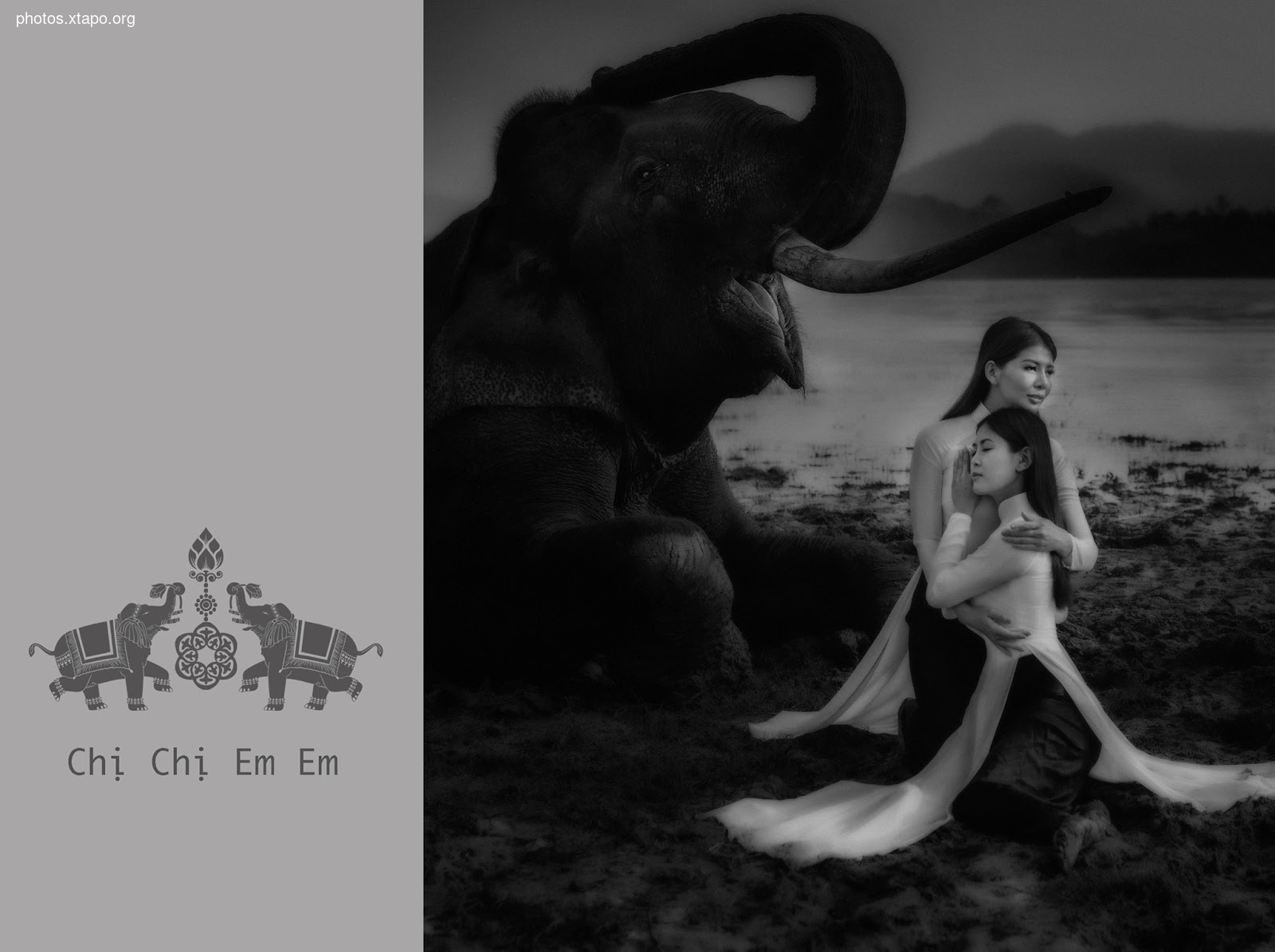 Thao Chi vs Kim Phung,