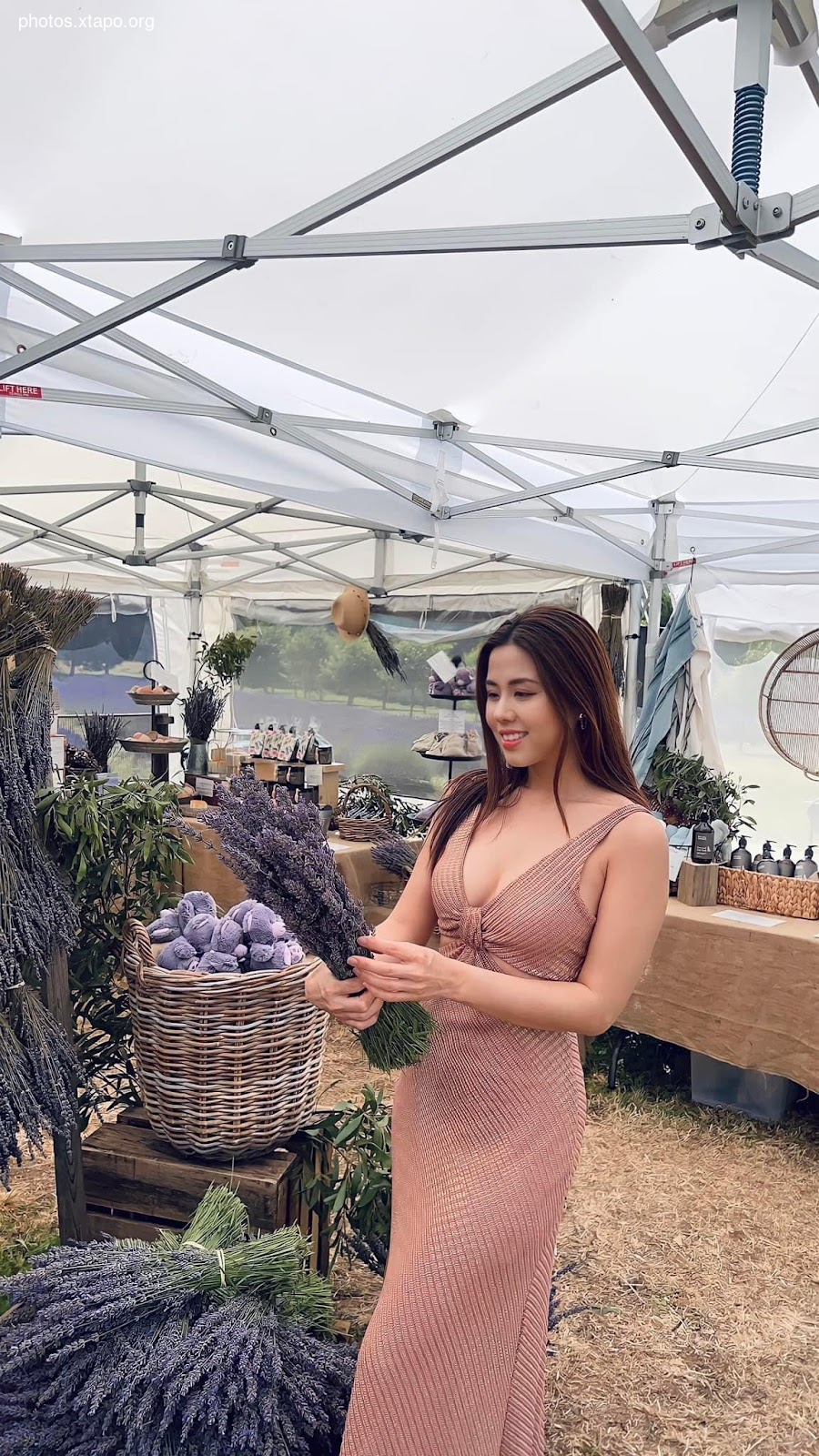 A woman in a blush pink dress holds a basket of lavender at a lavender farm. The setting is idyllic, with white tents and rows of lavender in the background.