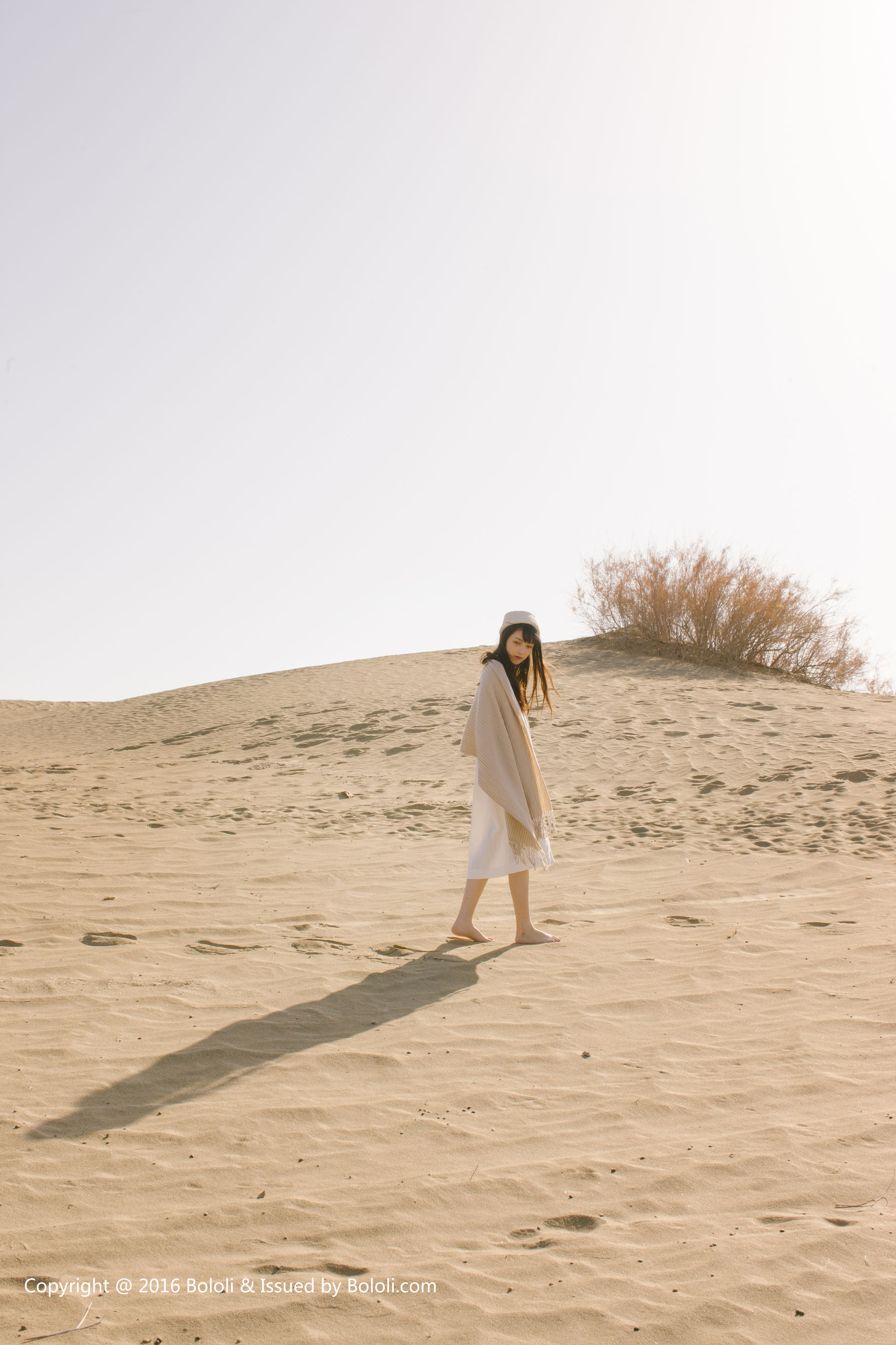 Wang Zhiying Desert Kimoe Que Meng Culture KIM009