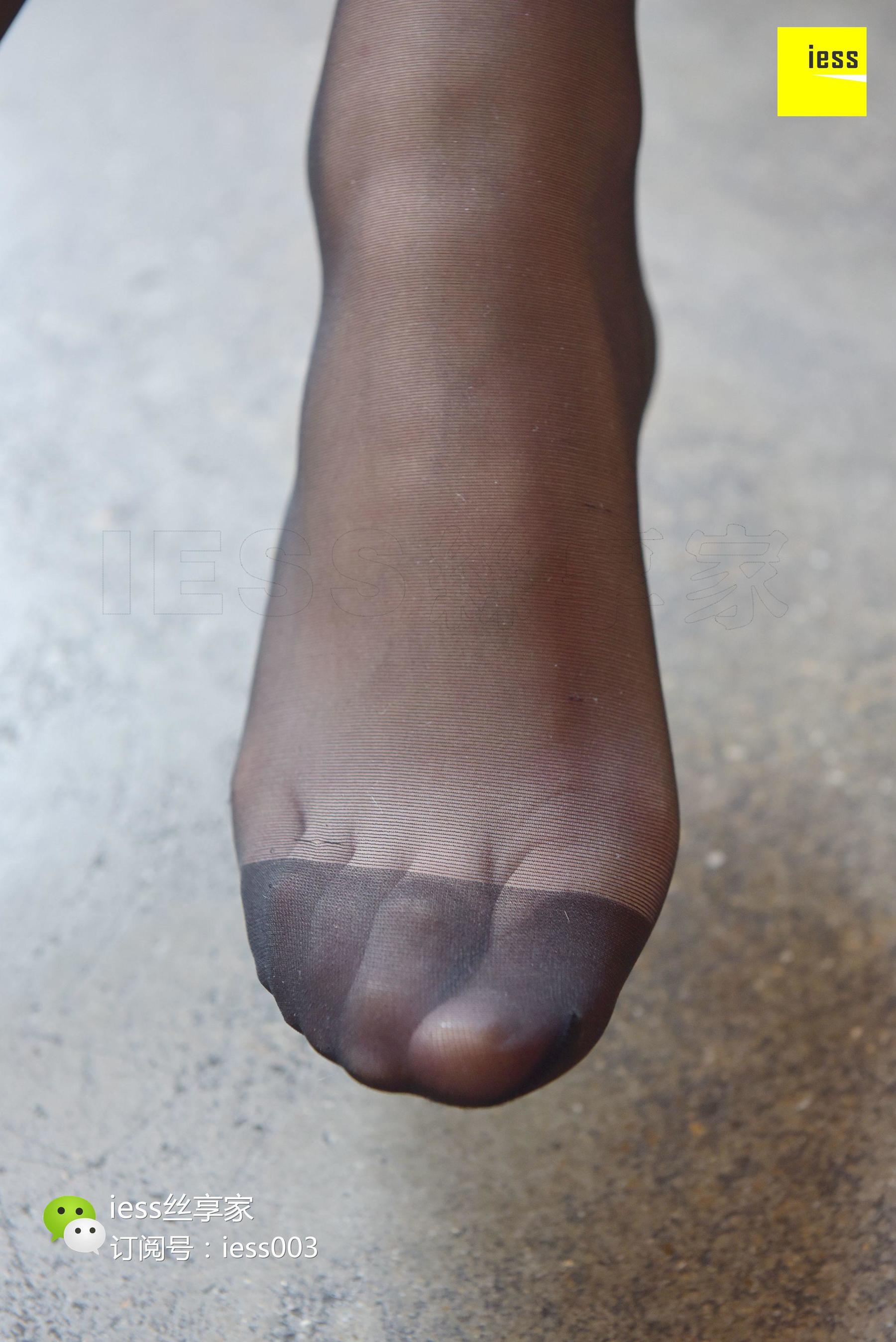 Silkxiang Home 040 Autumn Autumn I miss the autumn of the autumn of wearing a uniform ⅱ ⅱ ⅱ ⅱ ⅱ ⅱ