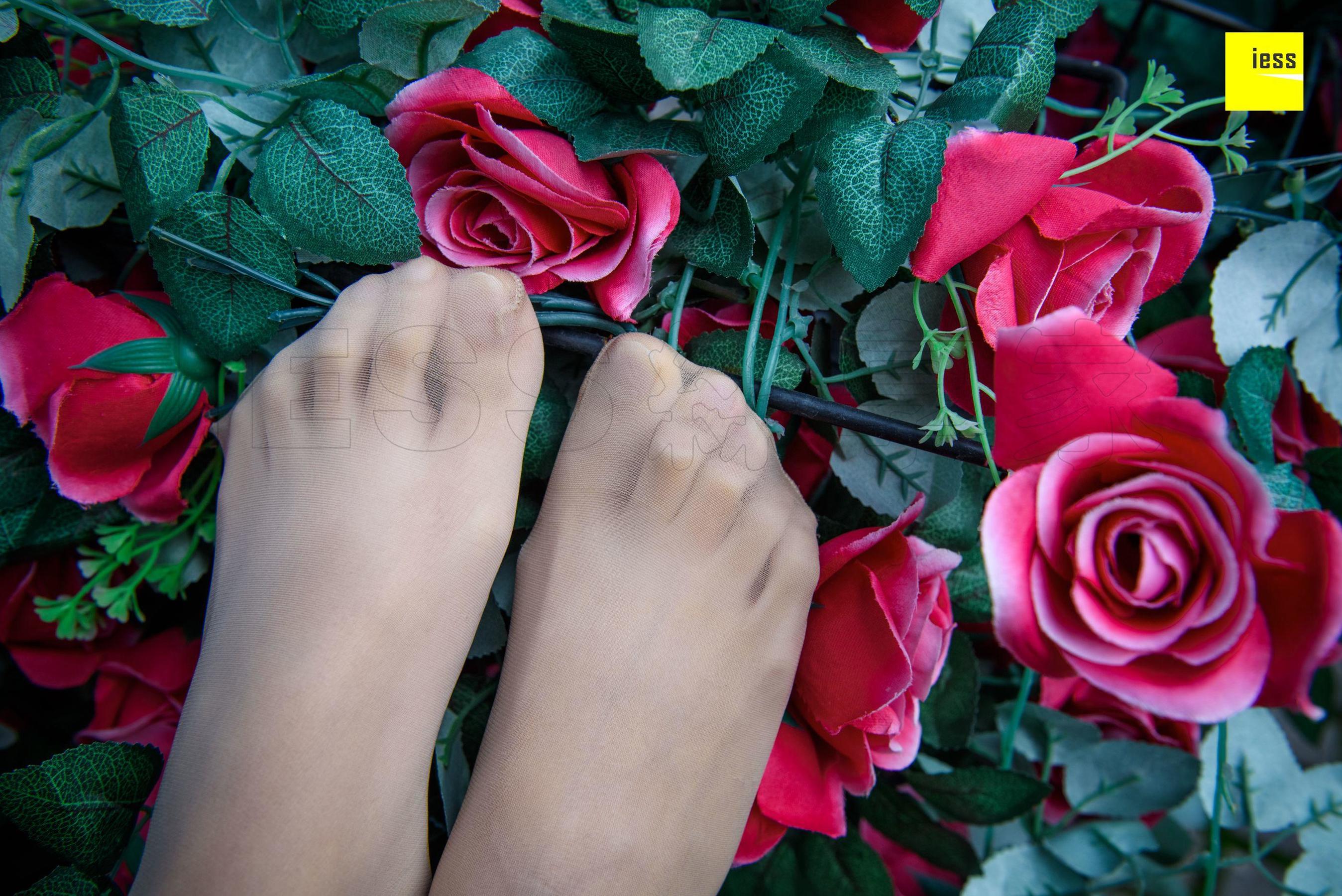 Wan Ping's Rose and Patriarchs Fun Thoughts to IESS Silk Enjoy Home 161