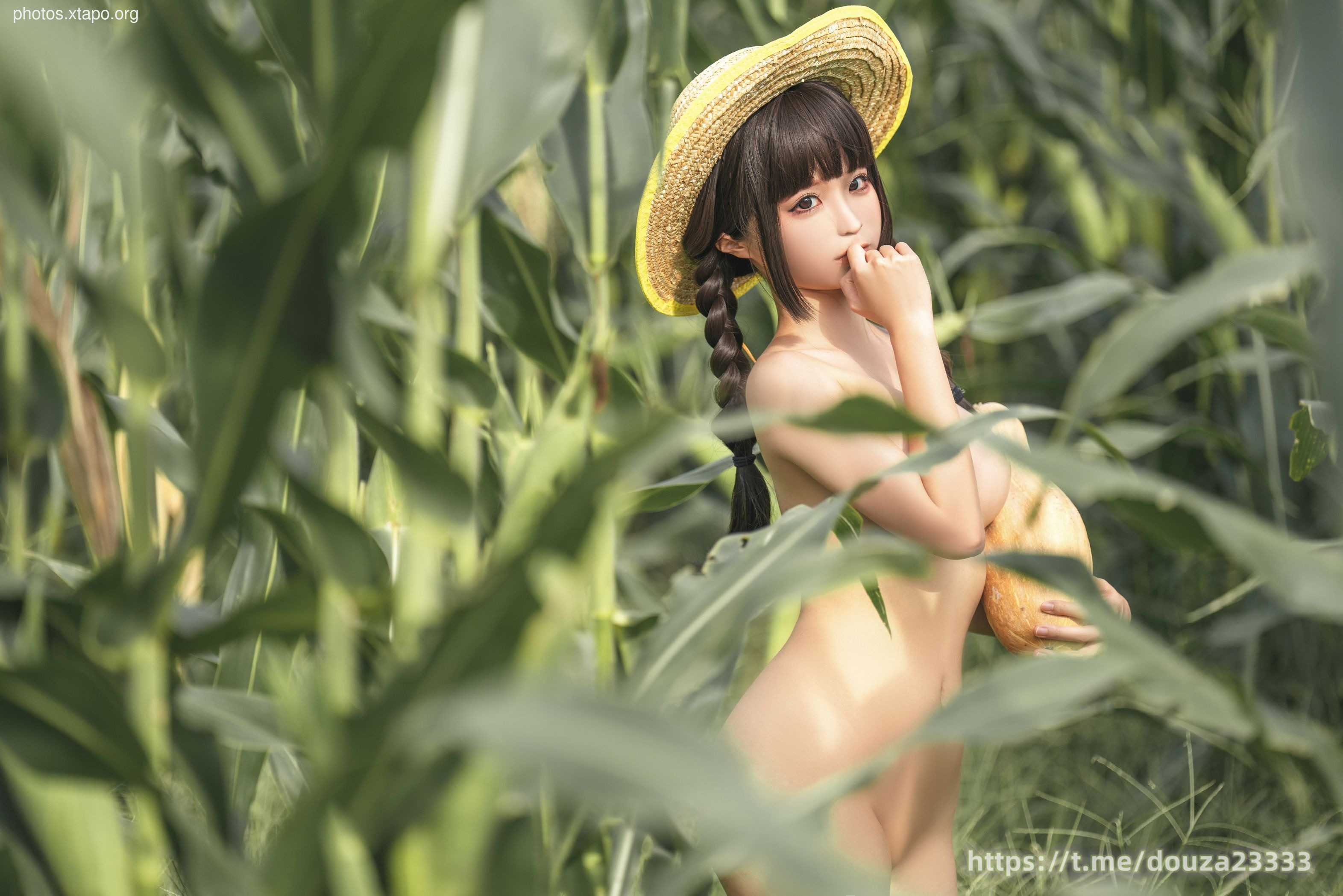 Story of Stupid Momo Rice Land (September 11th Member Resources)