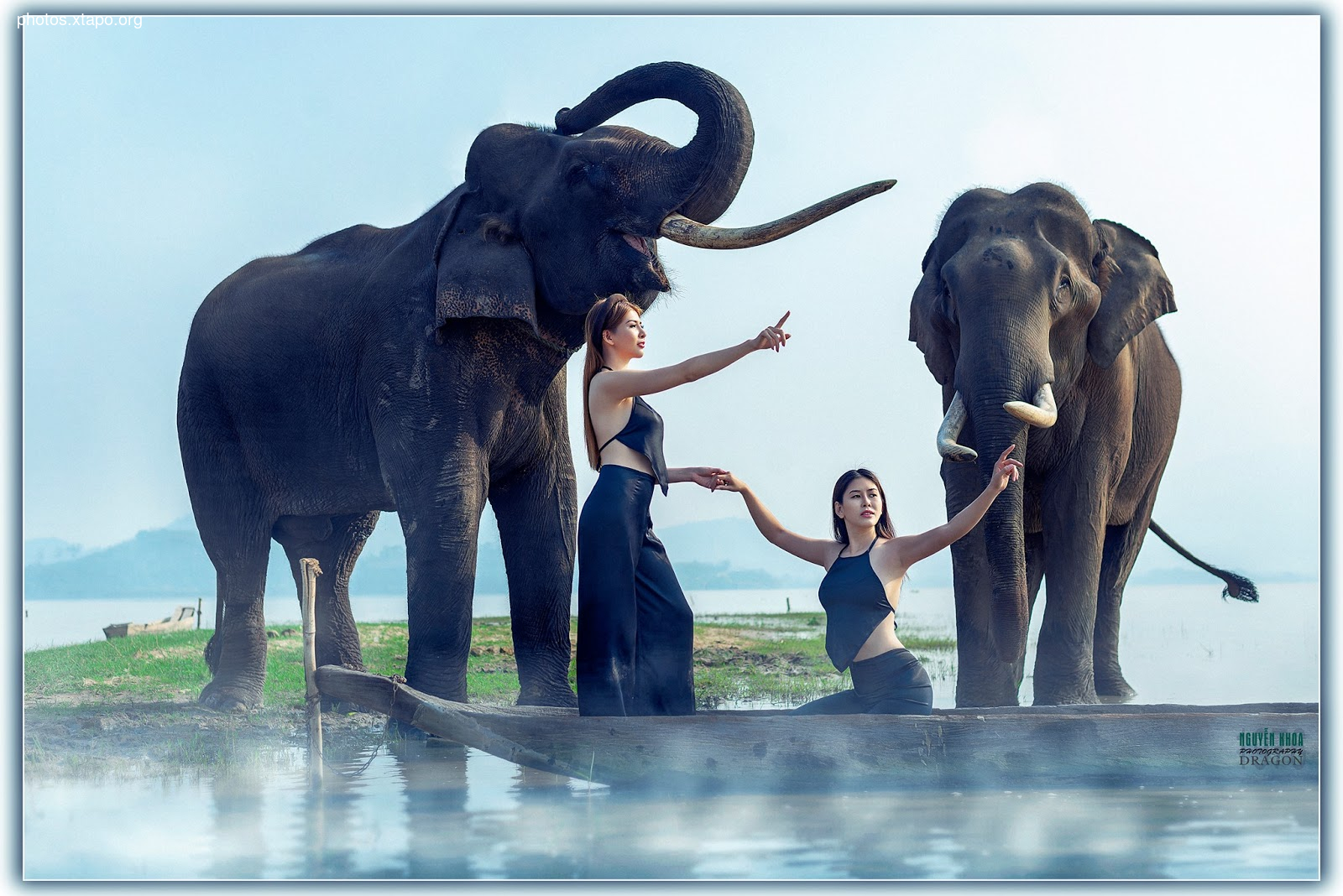 Thao Chi vs Kim Phung,