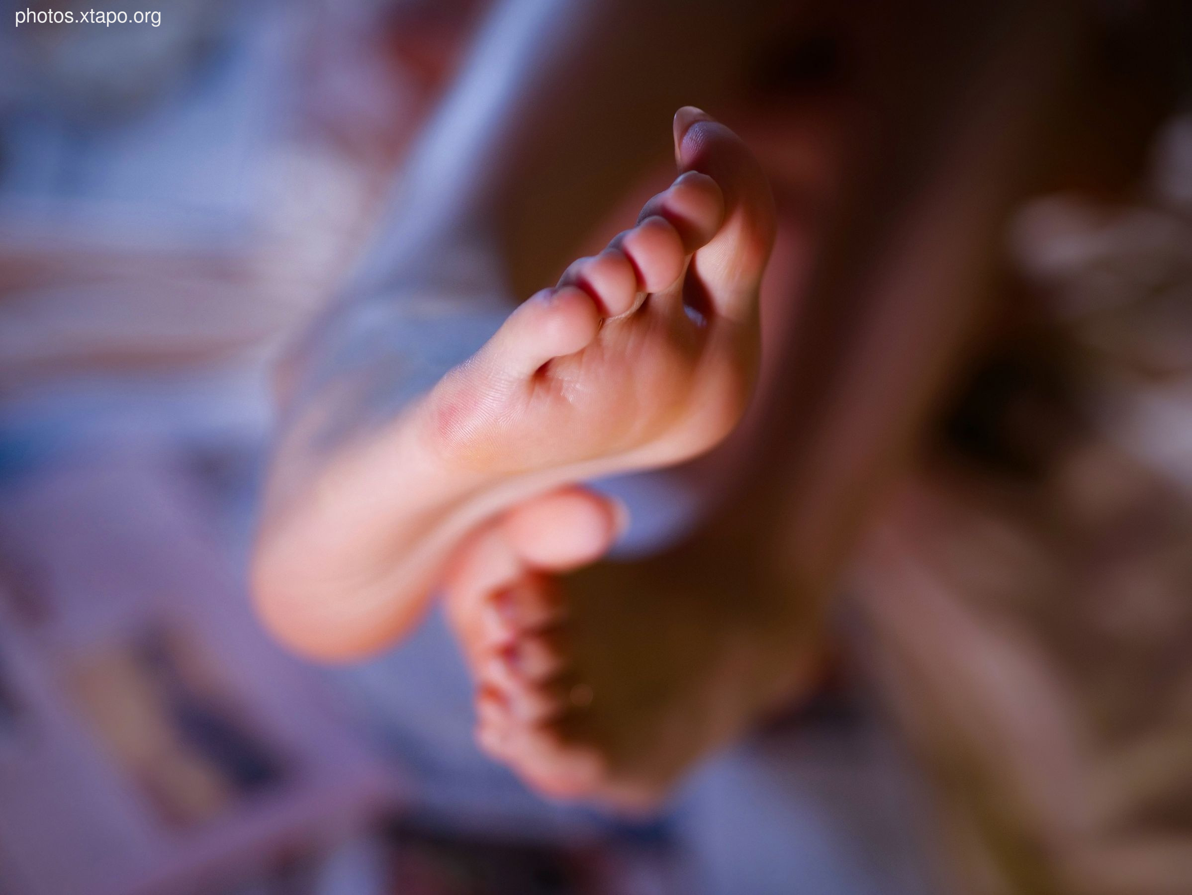 Xiao Meiyan & amp True Ziguai Pack -Chamber Beauty