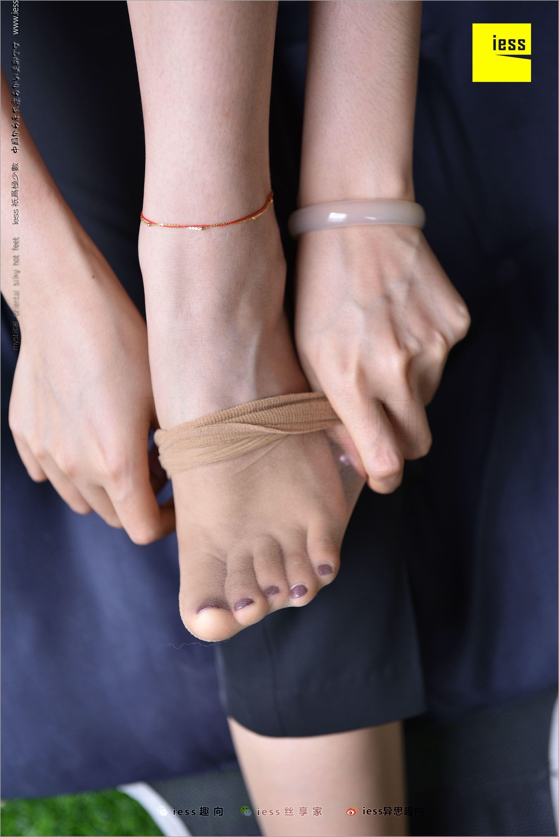 Huahua's Middle Stockings-The Beauty of Unpopular Different Thoughts to IESS Silk Foot Bento 214