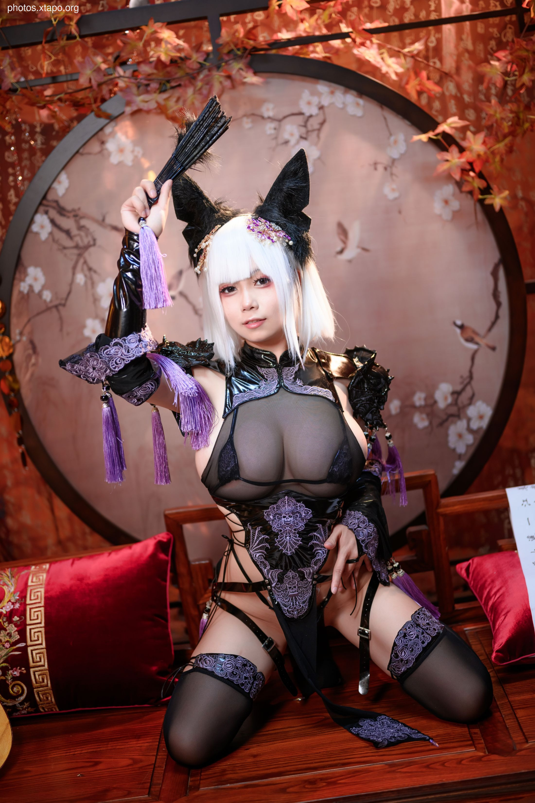 Last Night 787 -& nbsp Fighting Cat Mother 40p3v1.63g