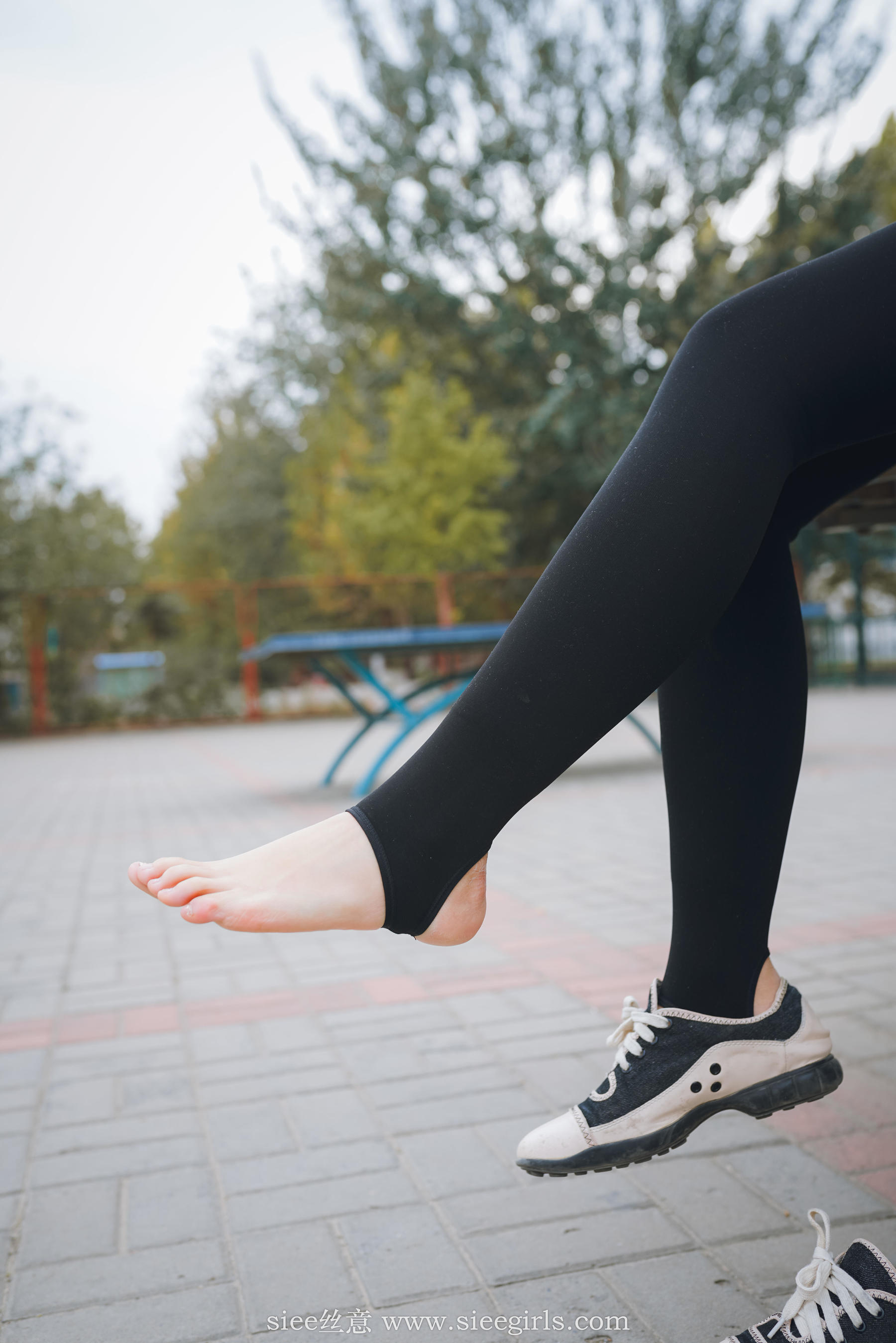 Si Yi Siee The romantic sisters of the bear