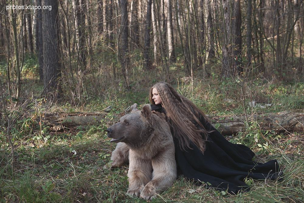 Russia nature, forest and animals by Olga Barantseva