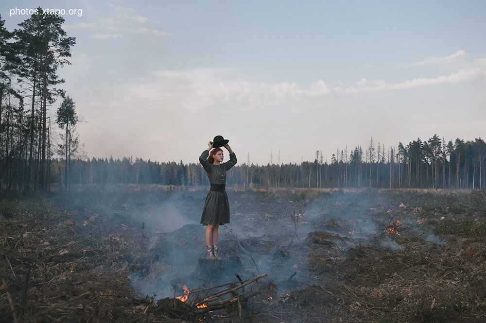 Russia nature, forest and animals by Olga Barantseva