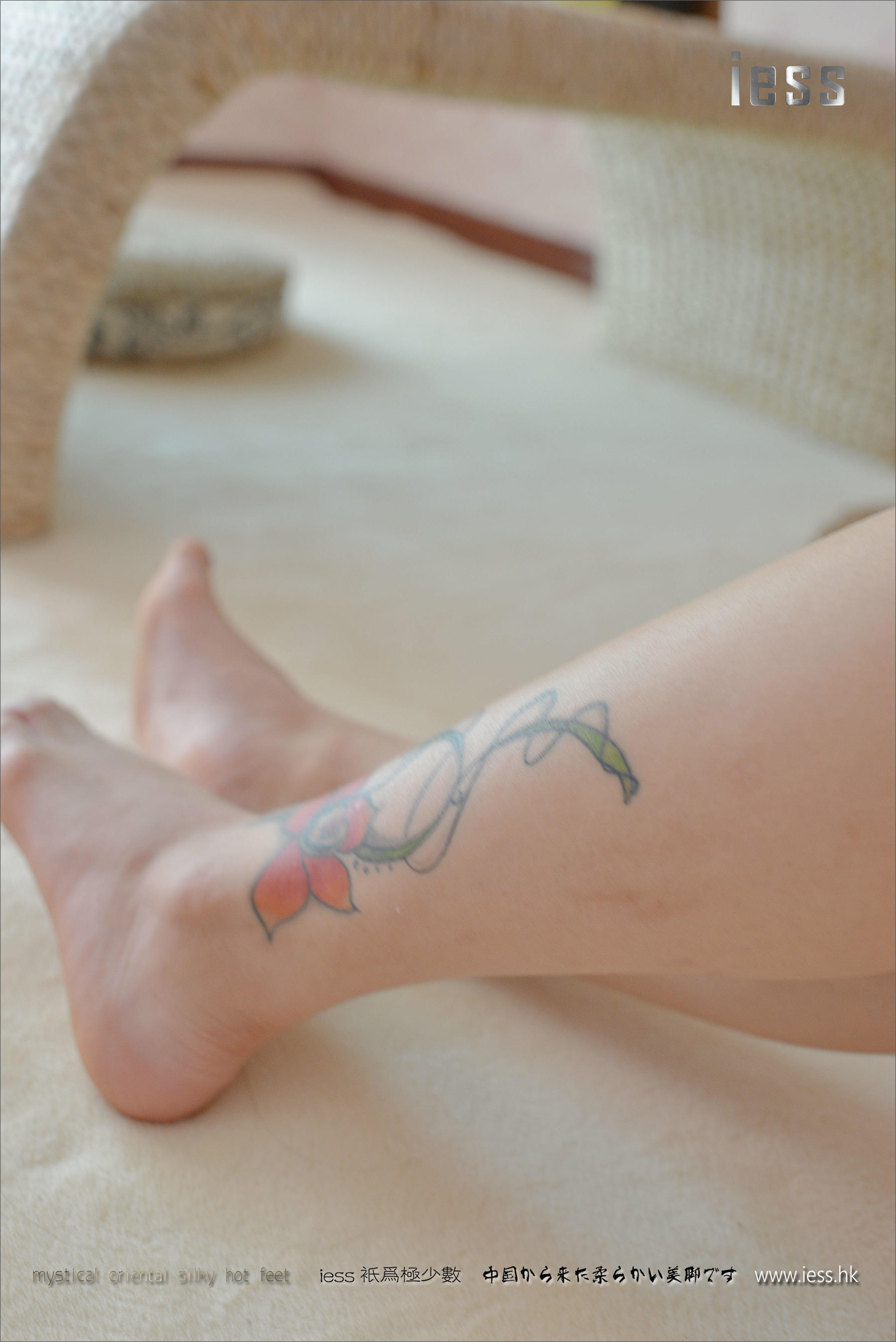 Silk Foot Bento 066 Youyou 2016 IESS Thinking Funbian