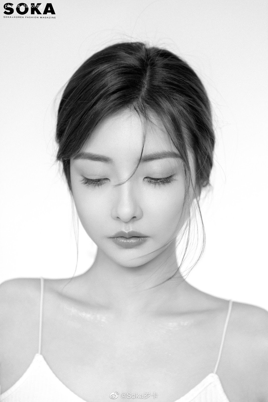 Tieu Dieu 小 Dodo 鸟