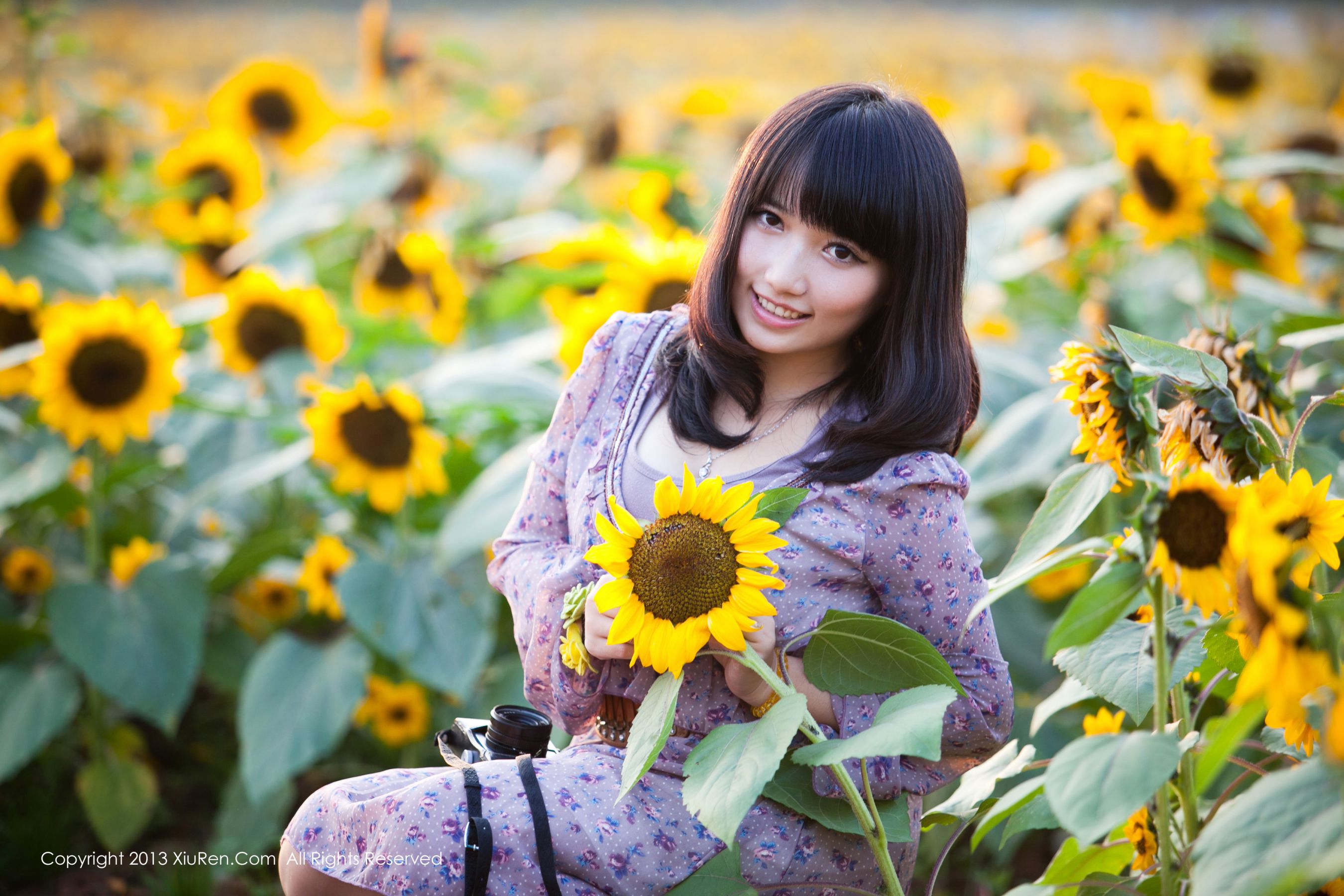 Midmarkless and Fresh Collection Xiuren No.053