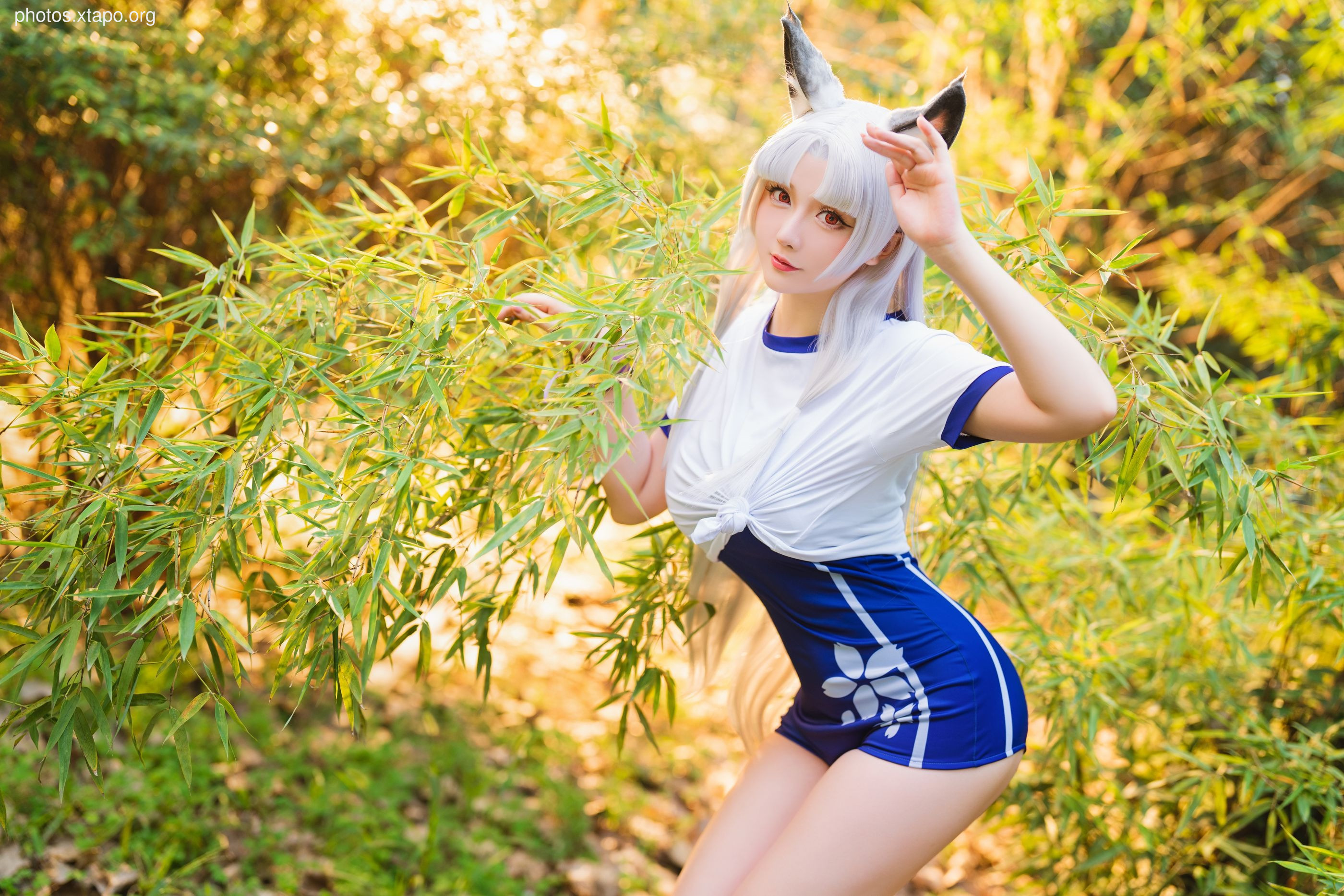 Stars late September Plan Ah Tao Library Water (October 14 Award Group Resources)