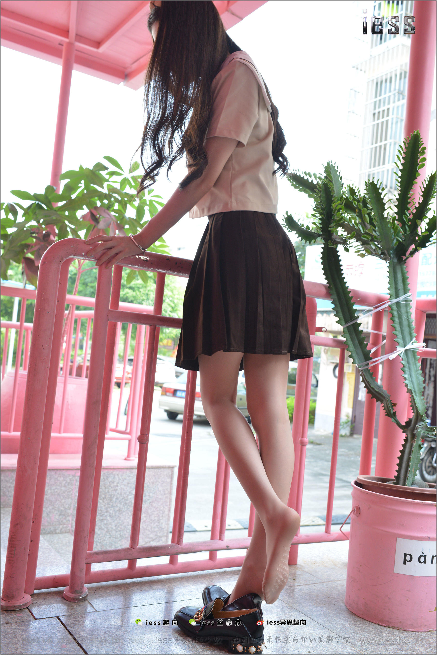 Silk Foot Bento 163 Jiajia Poetry and Far Board ②