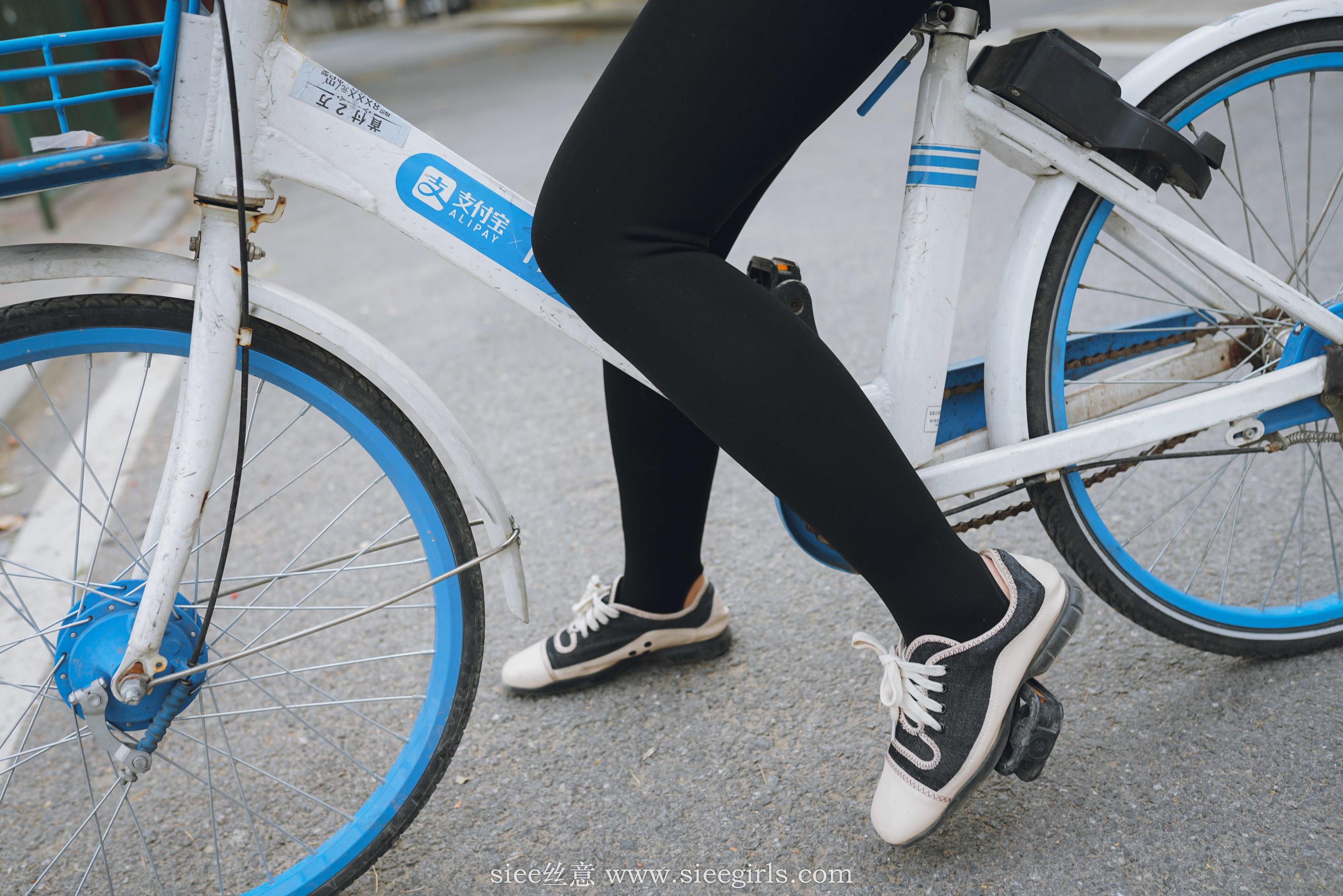 Si Yi Siee The romantic sisters of the bear