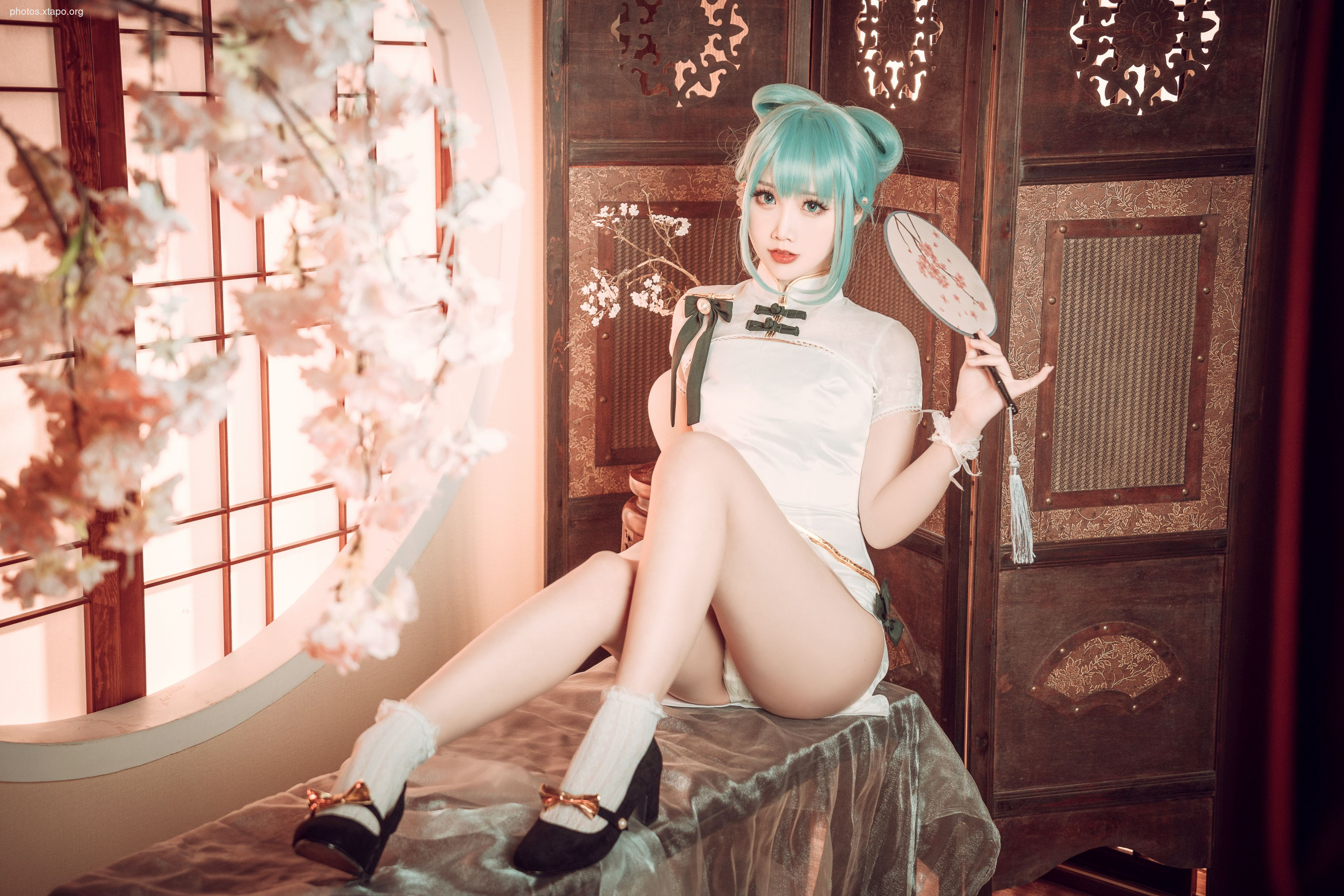 Noodle Fairy Hatsune Cheongsam28P-514MB