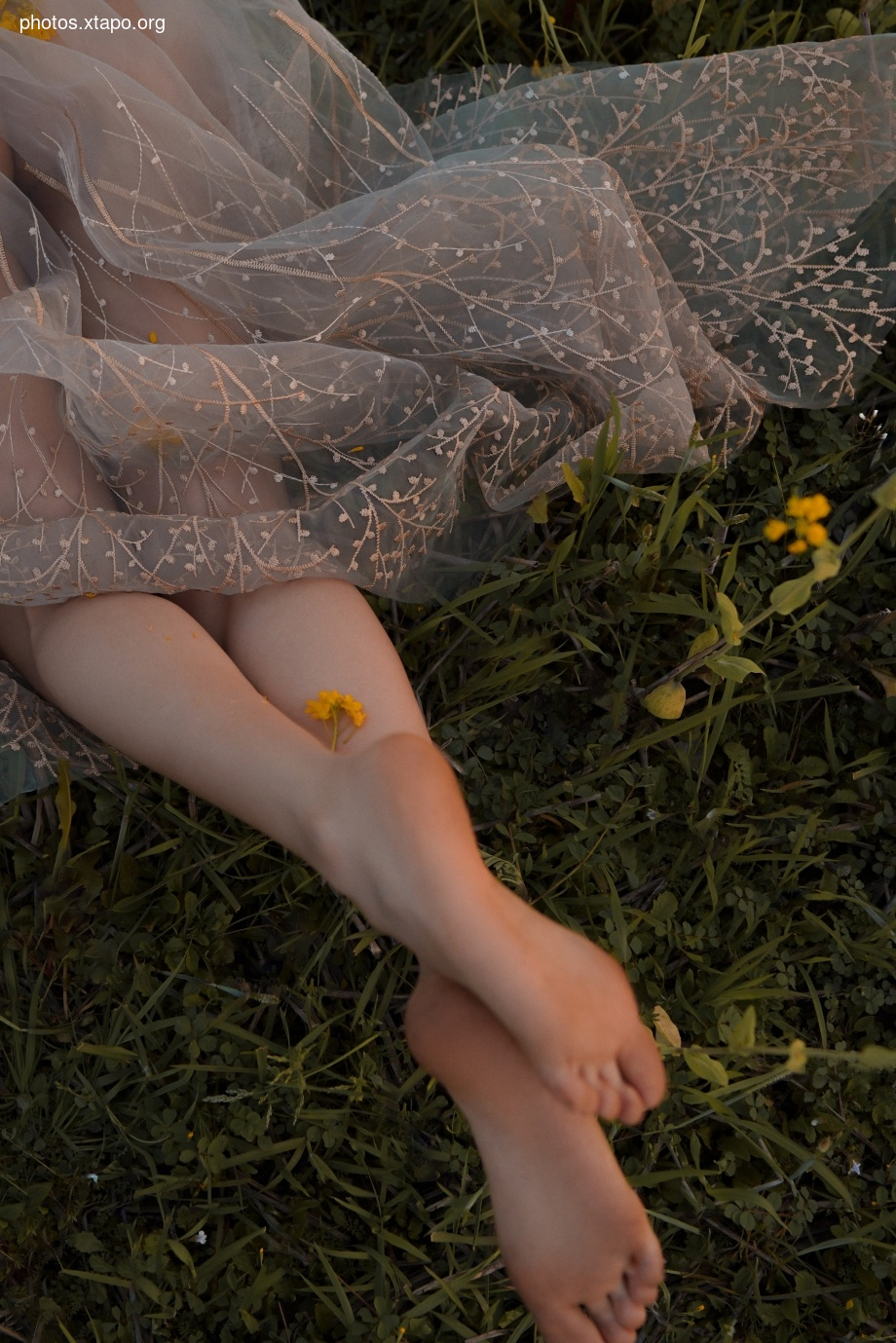 Thệp nguyit vi huân micro -醺 October October