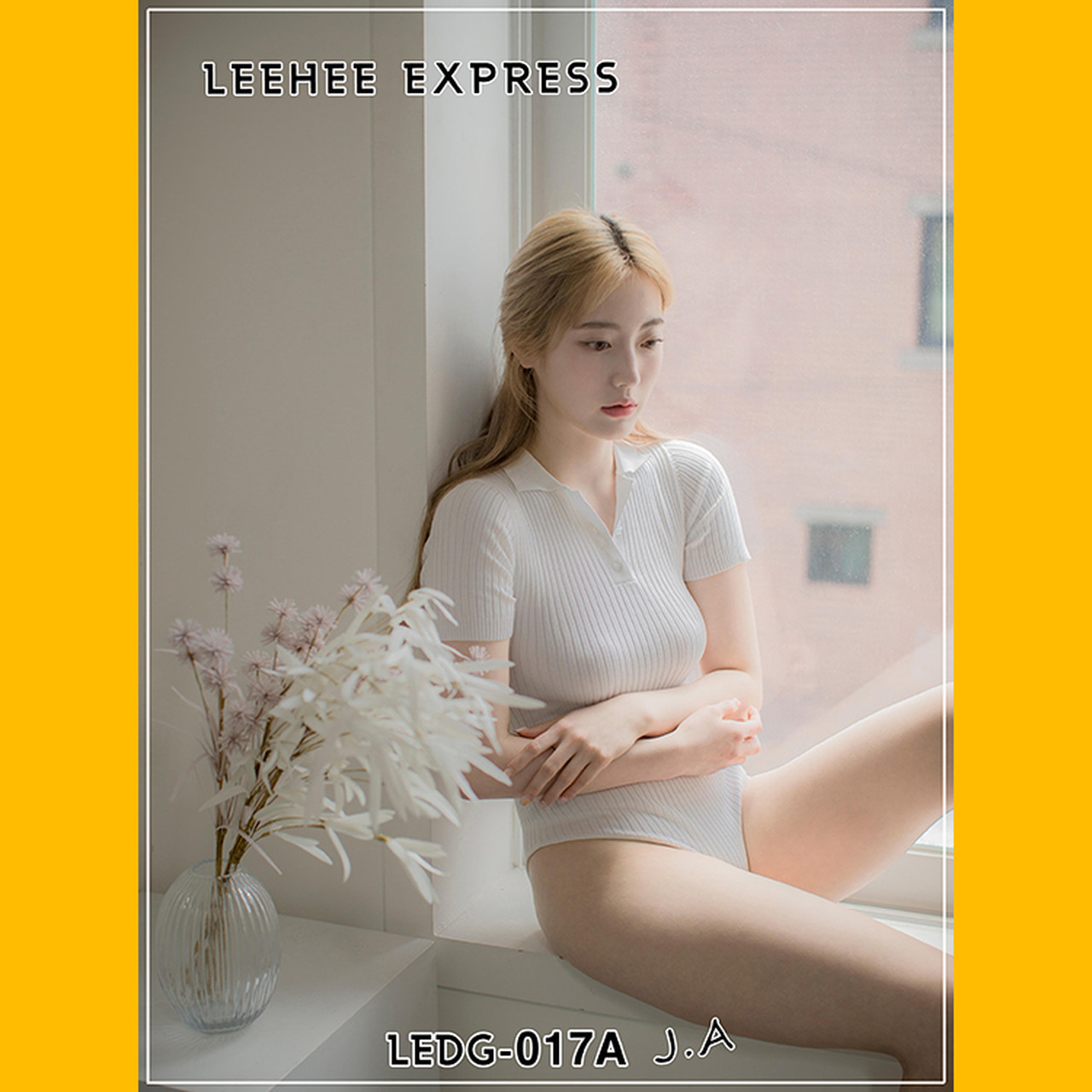 J.A [LEEHEE EXPRESS] LEDG-017A+B Set.01