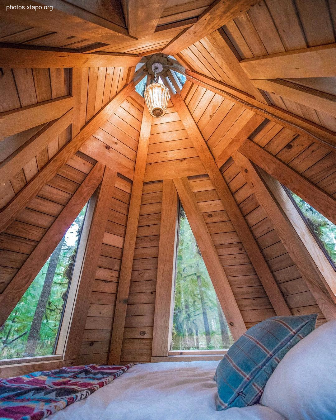 Building a wonderland of artisan cabins nestled in the PNW rainforest by Jacob Witzling & Sara Underwood