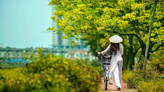 The road, between the pain The pain is just enough to miss each other, smile | Like ca