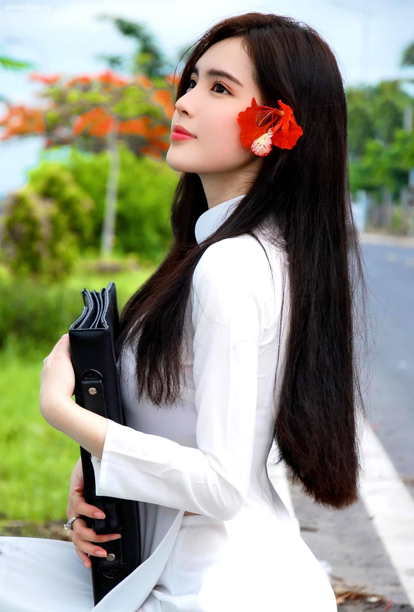 Dinh Trieu Doan Nghi,