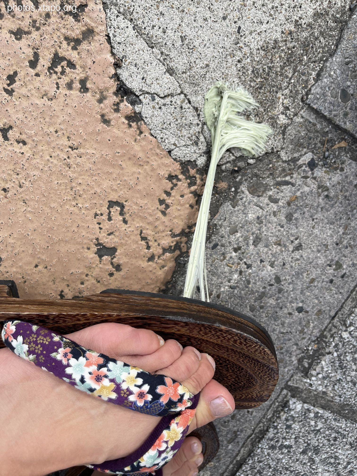 Violet summer yukata