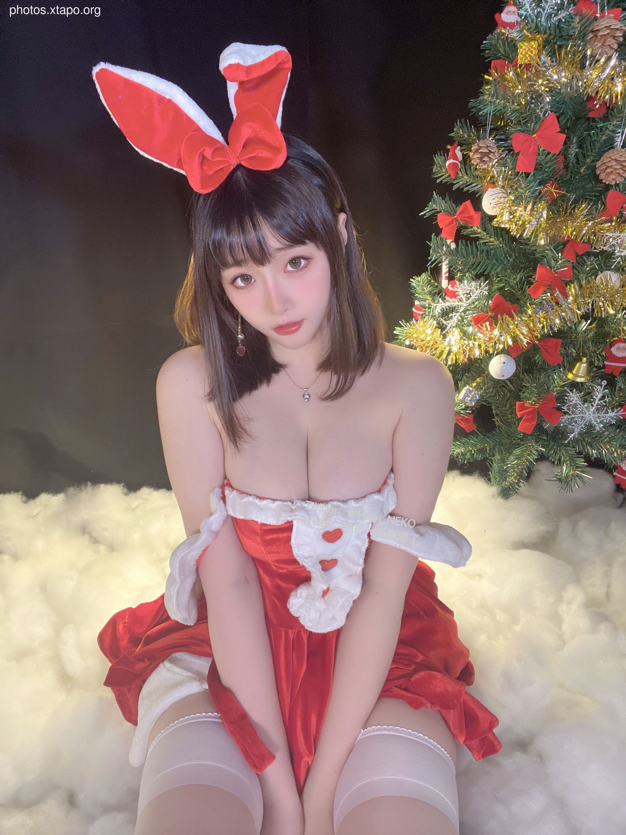 A waste meow Christmas bikinidress 72P3V-620MB