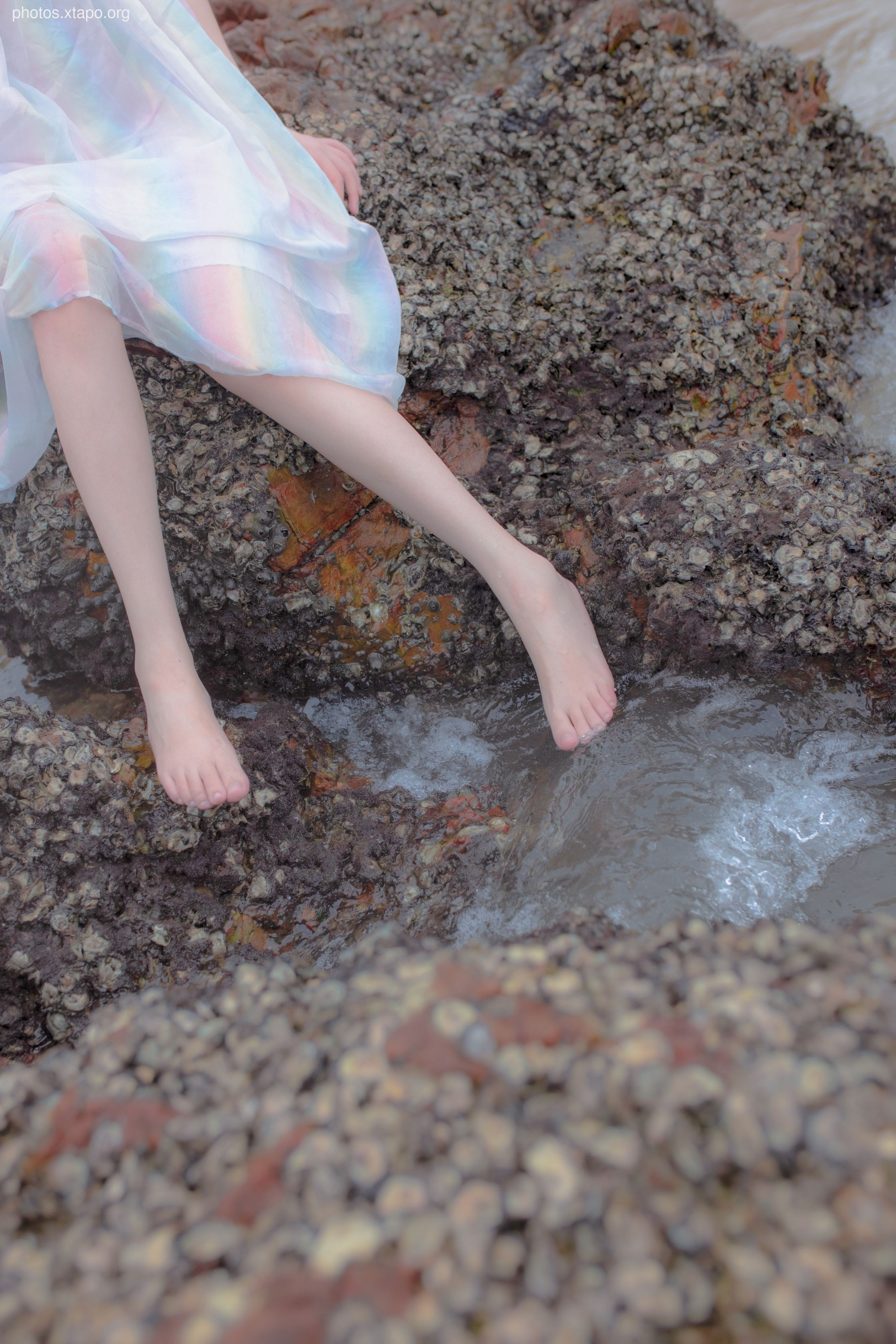 Crazy Cat SS Thinking This Reef Mermaid Crazy Cat SS Thinking This Reef Mermaid