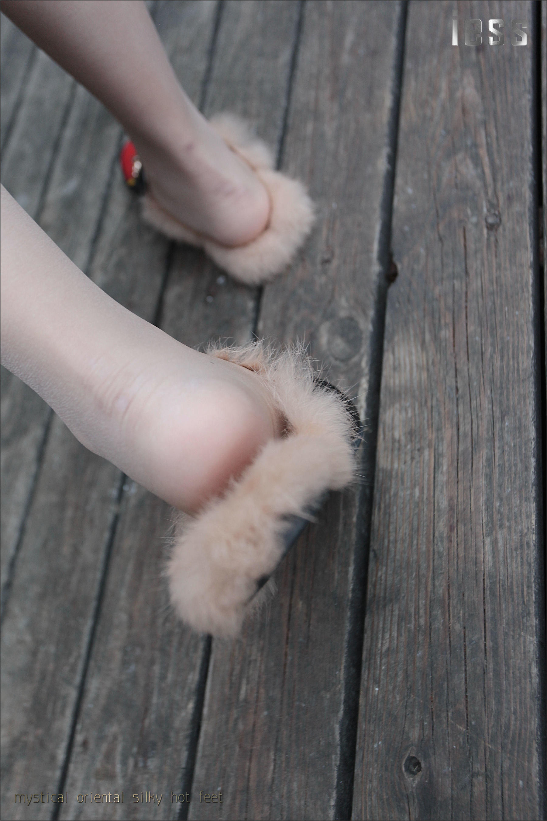 Silk Foot Bento 035 YY Leather Dragultra -thin silk IESS Different Funbian