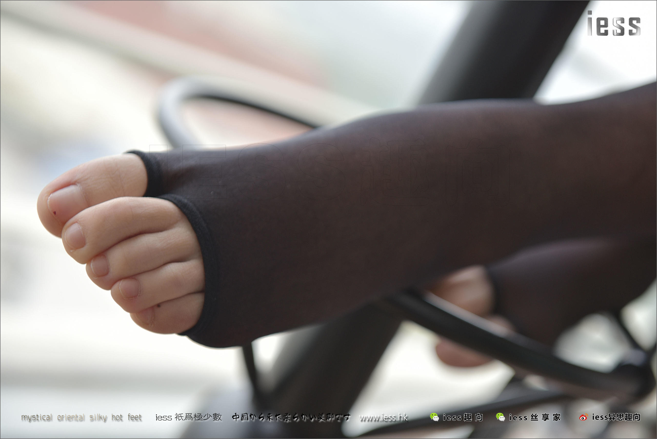 130 Zhang Foot Bento The Ballet of the Foot IESS Thoughts and Interesting