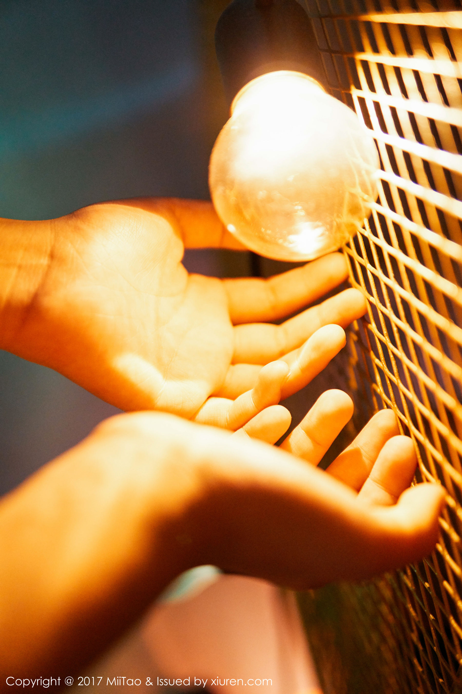 Ruixin Human Photography Under the Light Miitao Vol.086