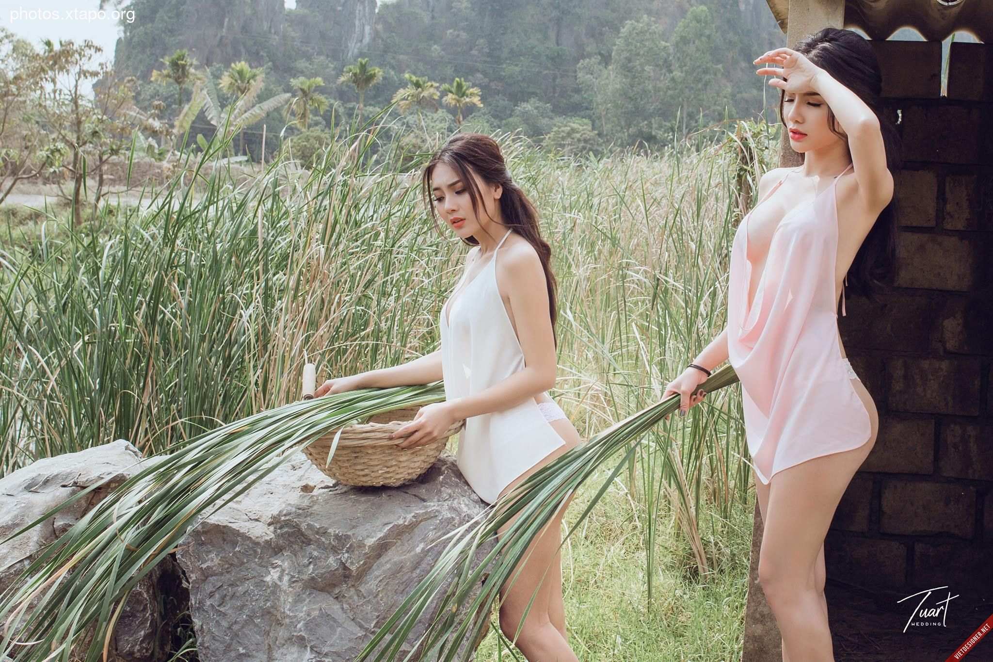 Two young Vietnamese women in traditional ao dai dresses harvest reeds in a rural setting. The image evokes a sense of serenity and traditional rural life.