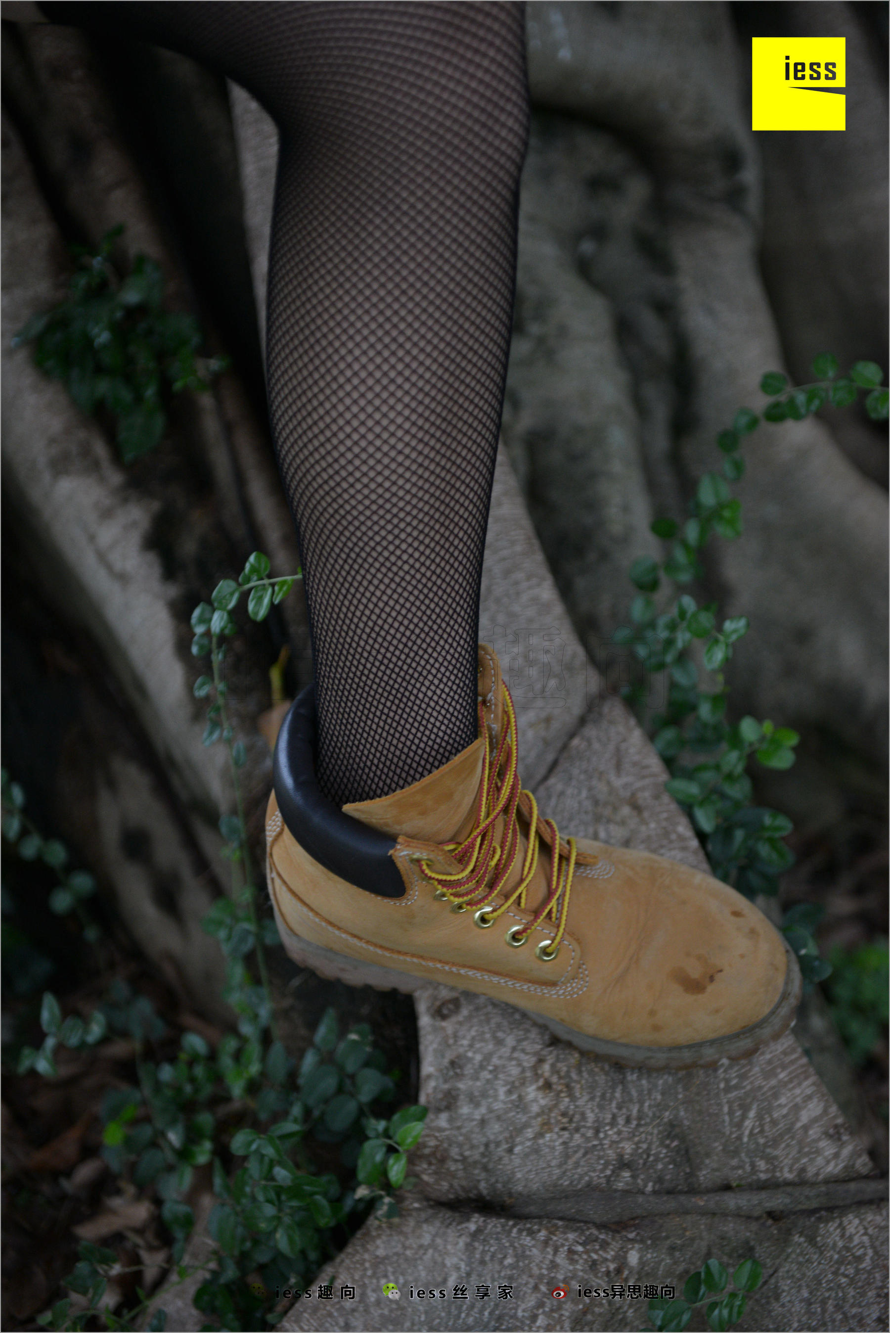 Xiaoxiao's Eye Socks that goes astray Different Thoughts to IESS Silk Foot Bento 233