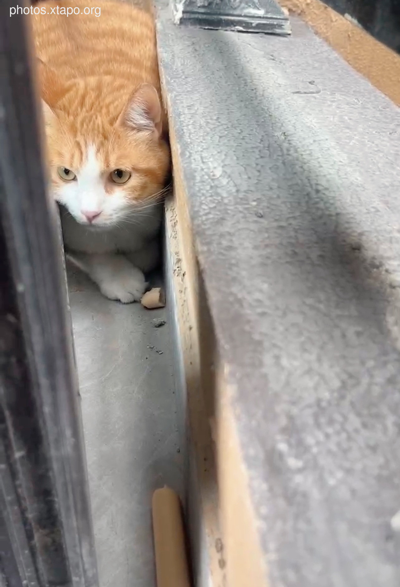 2022-09-14 front and back 🖤🖤 20P-30.49MB