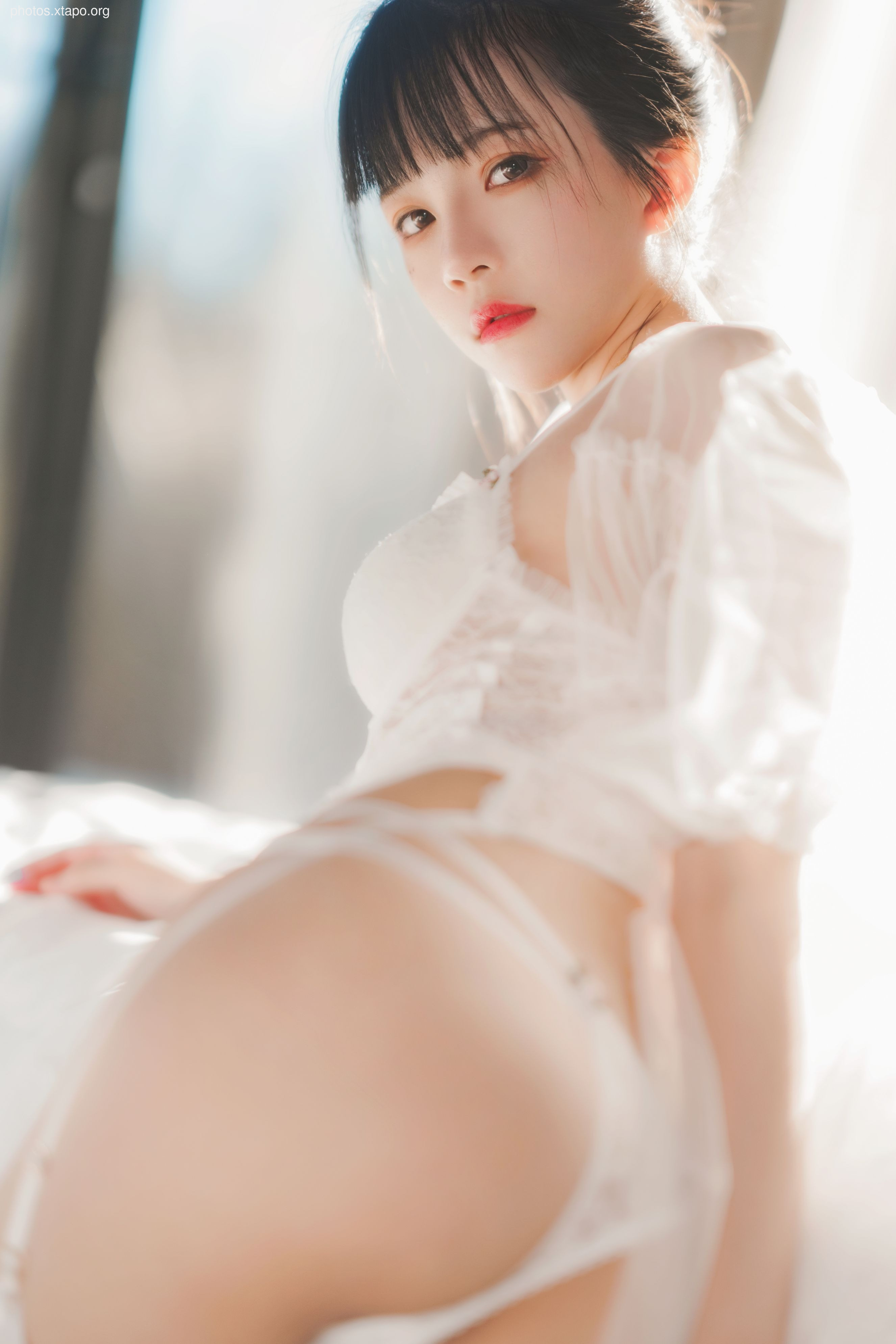 糖 桜 – -White gauze sugar