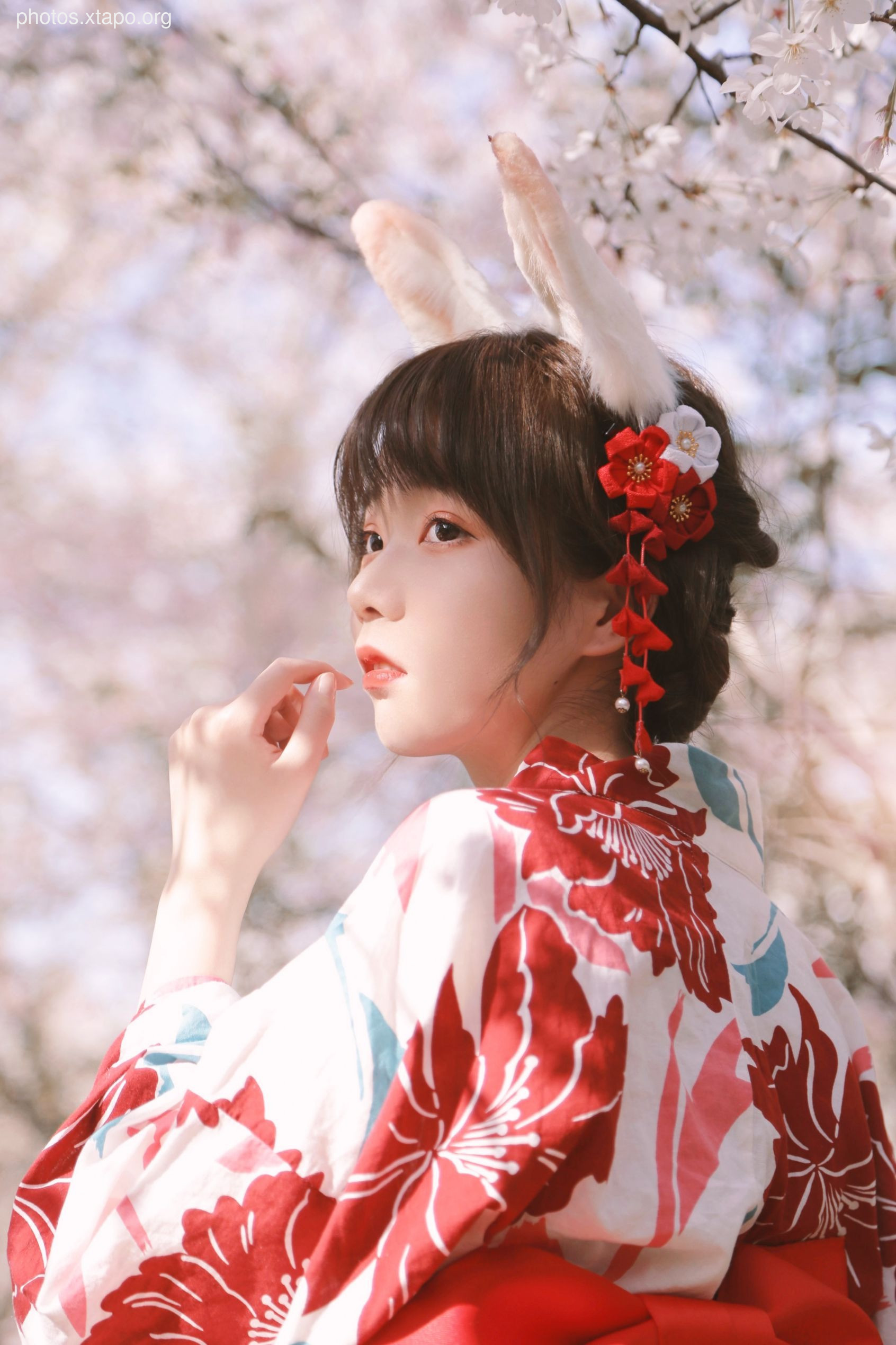 NO.017 Sakura Rabbit