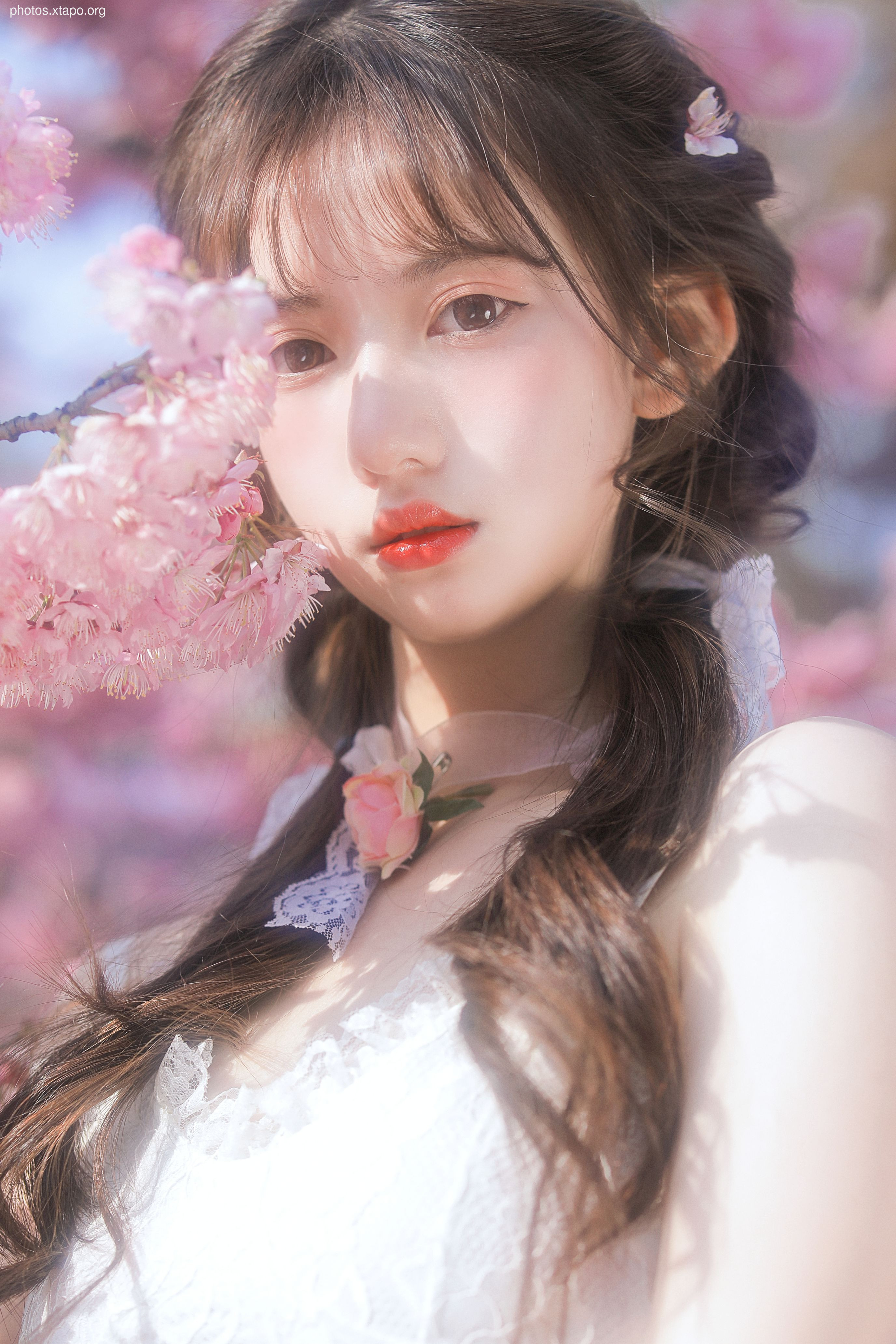 Yizi yiii cherry blossom limited