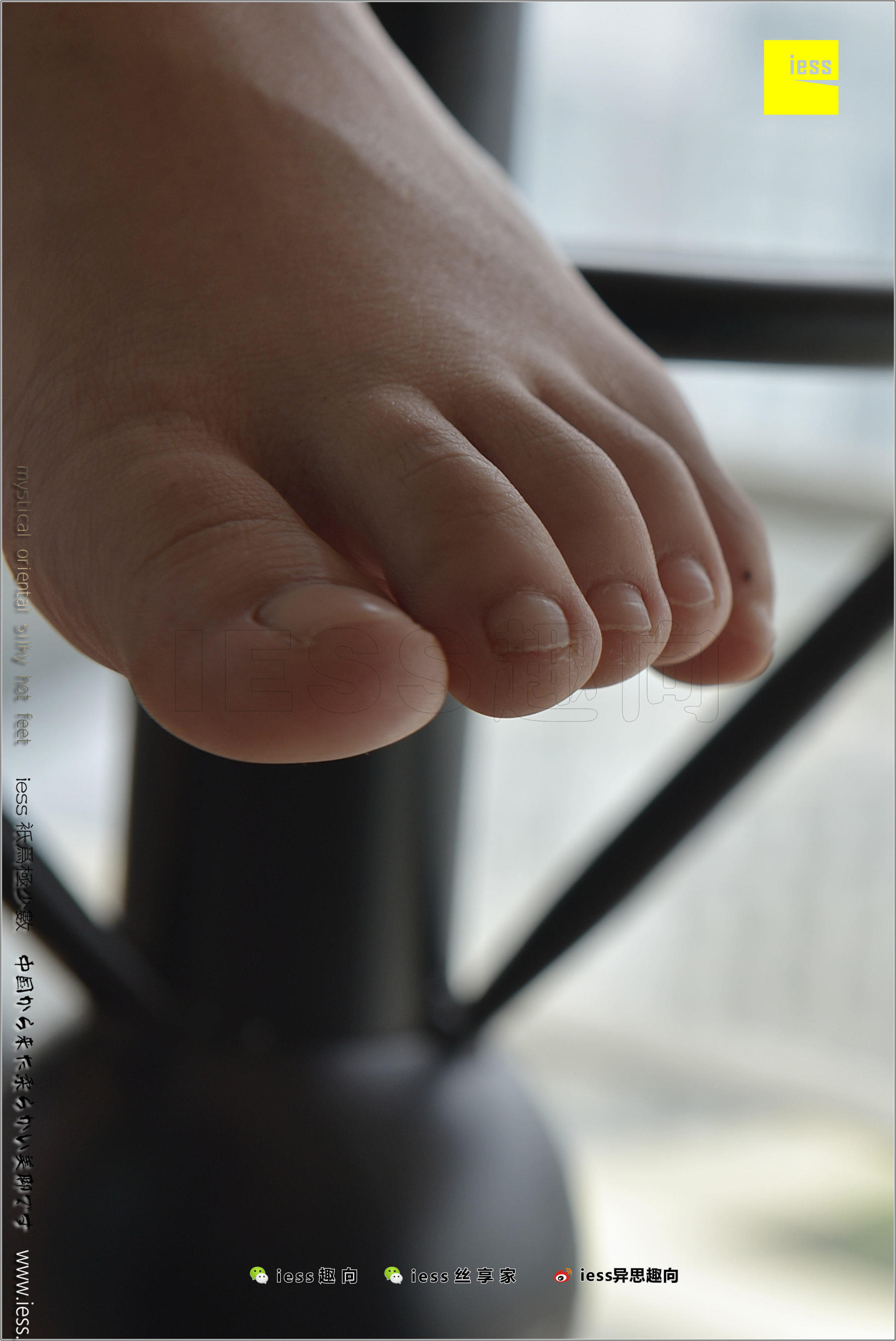 184 Zhang Foot Bento Zhang Xinyue's Contentive Frequency Music IESS Thoughts and Interesting