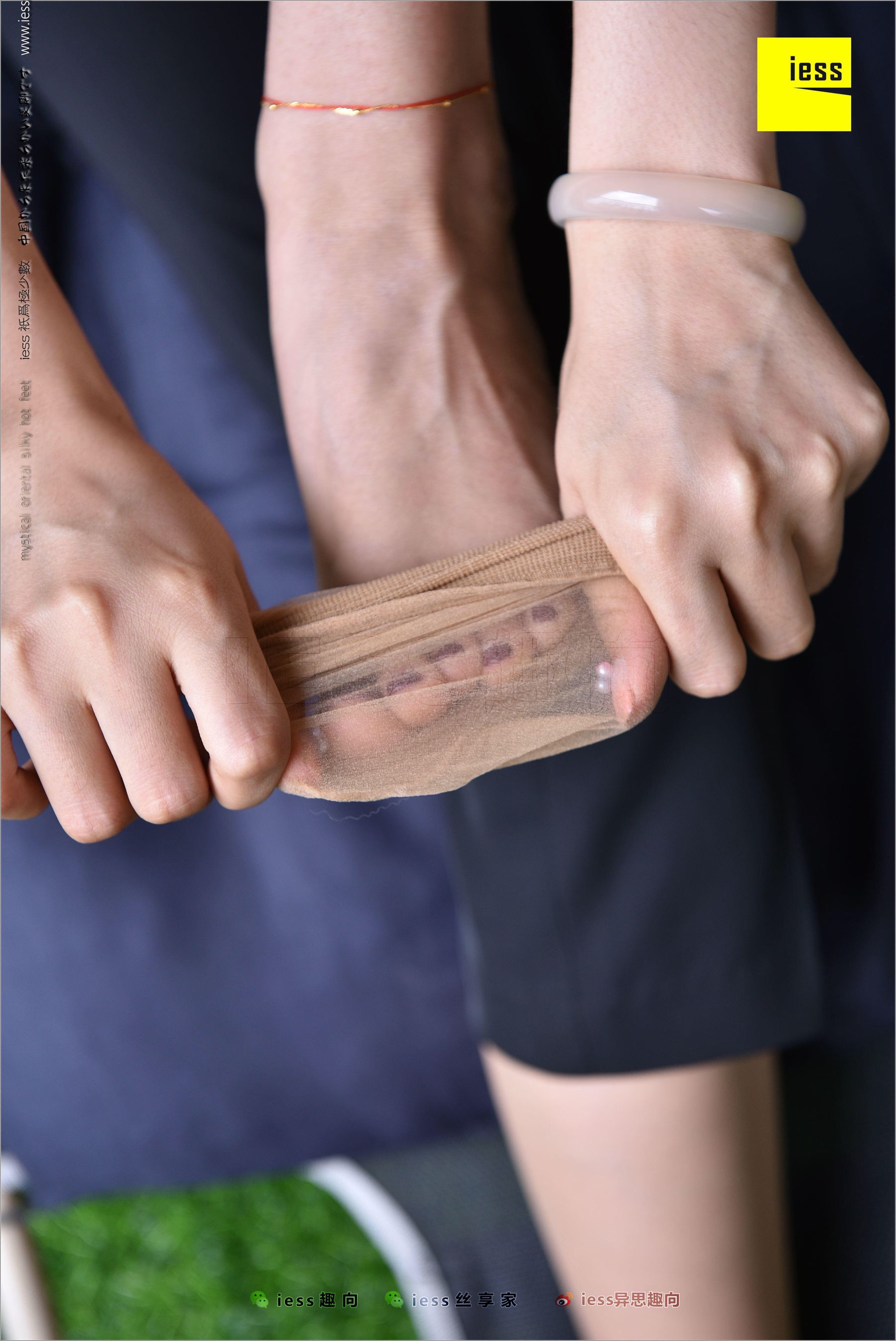 Huahua's Middle Stockings-The Beauty of Unpopular Different Thoughts to IESS Silk Foot Bento 214