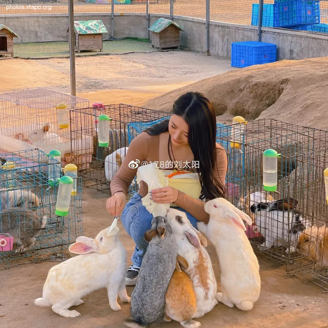 Liu tai yang Liu Taiyang,