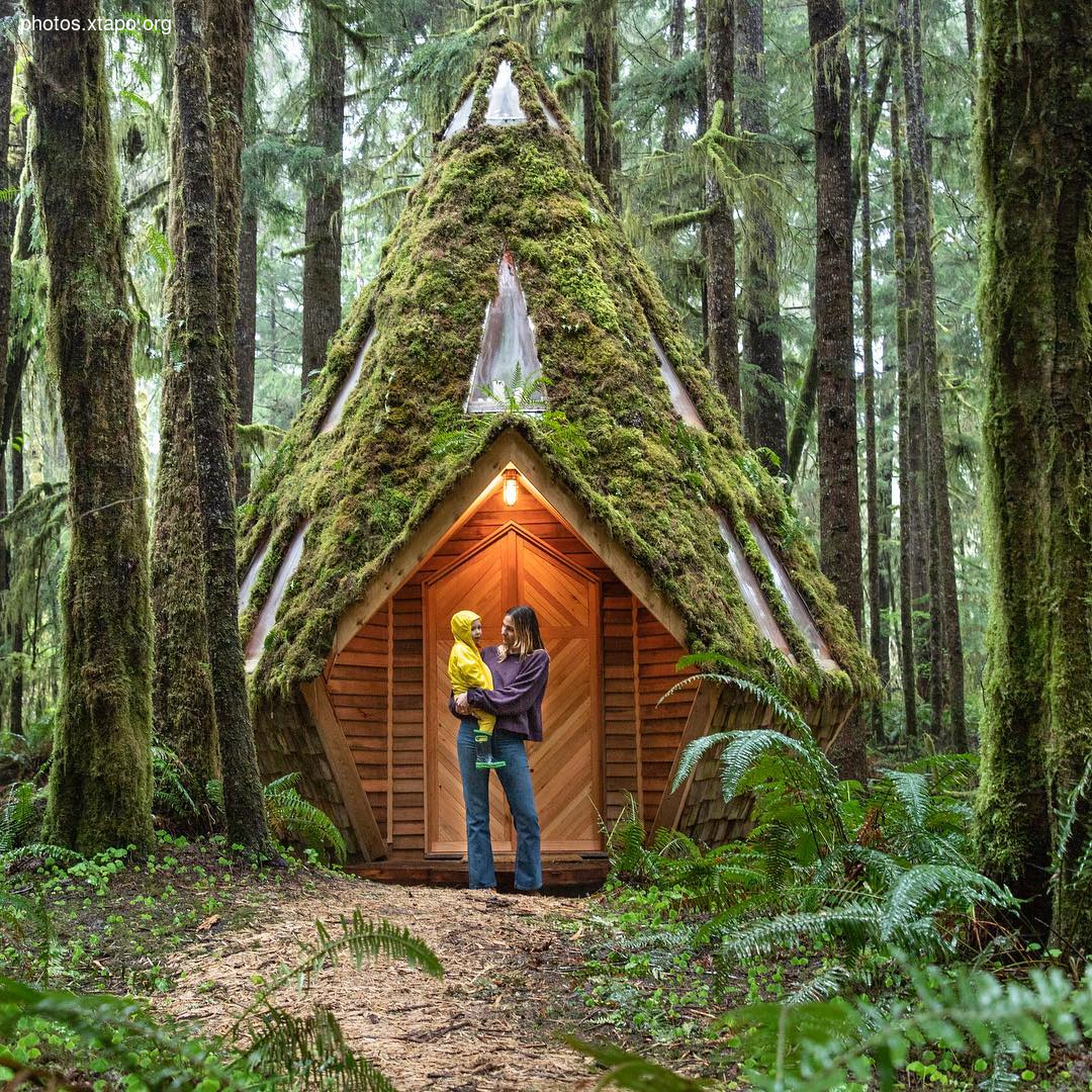 Building a wonderland of artisan cabins nestled in the PNW rainforest by Jacob Witzling & Sara Underwood