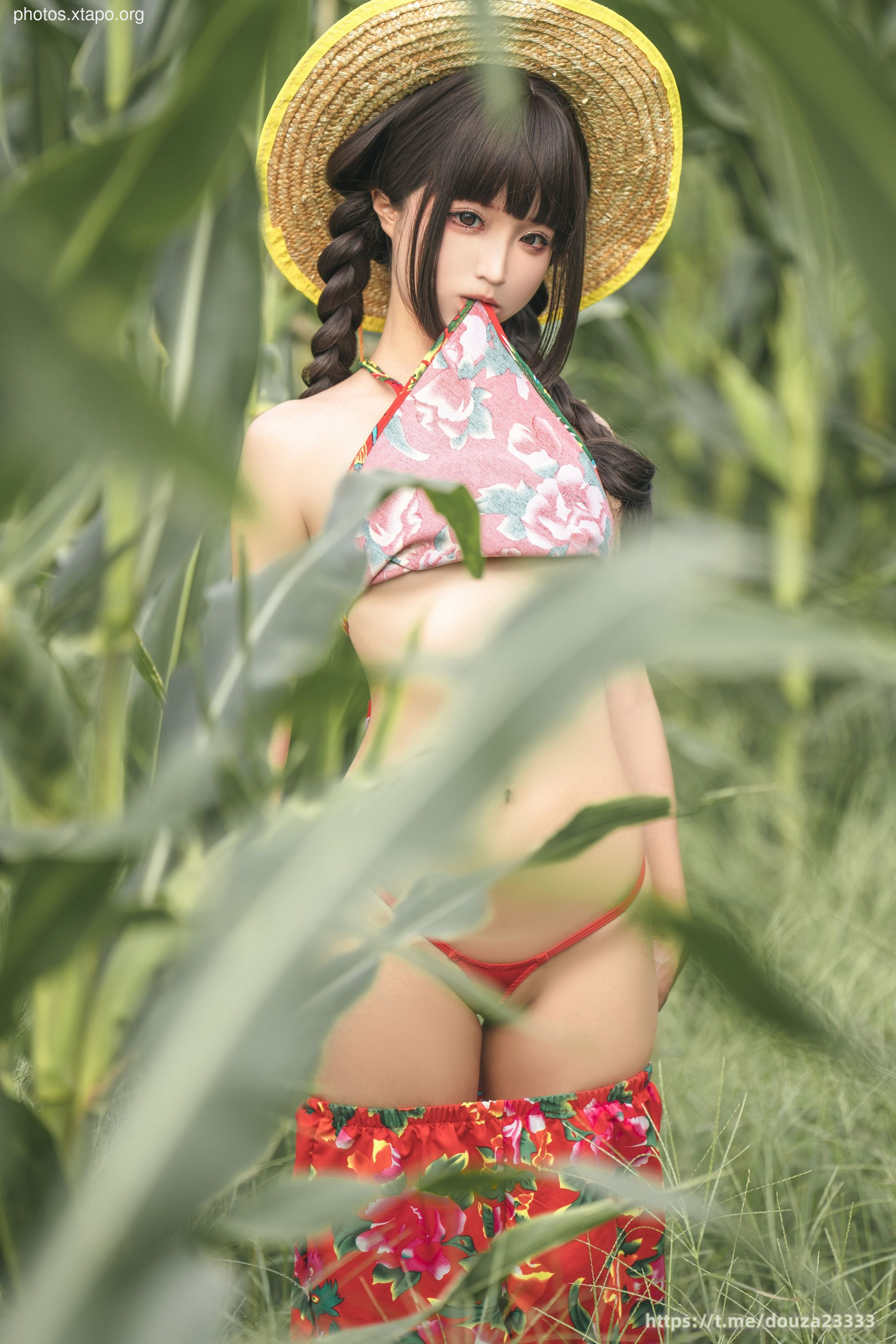 Story of Stupid Momo Rice Land (September 11th Member Resources)