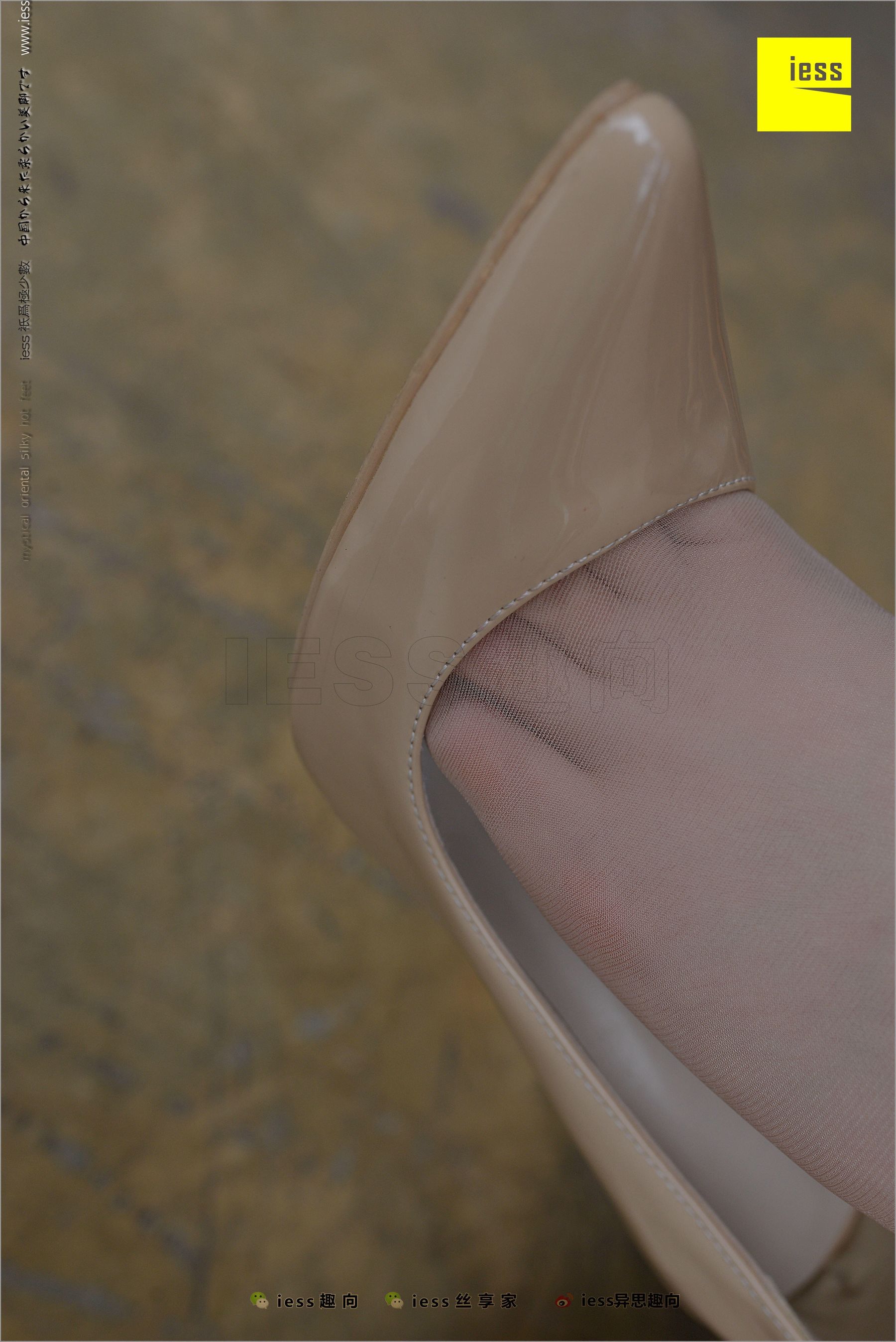 Jiu Mei (Miao) Silk Foot Career Ambassador -Jiu Mei Different Thoughts to IESS Silk Foot Bento 220