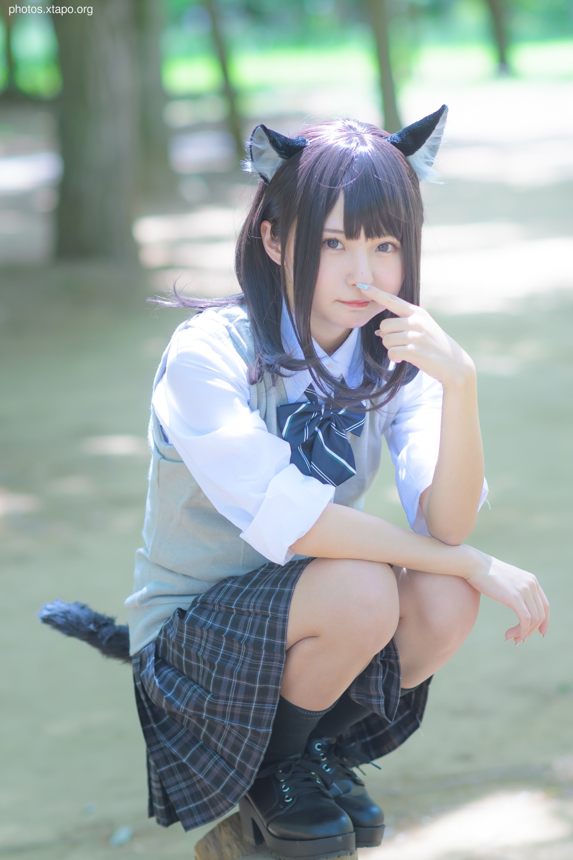 C96 Tofu Factory (Anni Tofu) mamefu Chaton