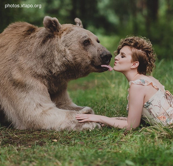 Russia nature, forest and animals by Olga Barantseva