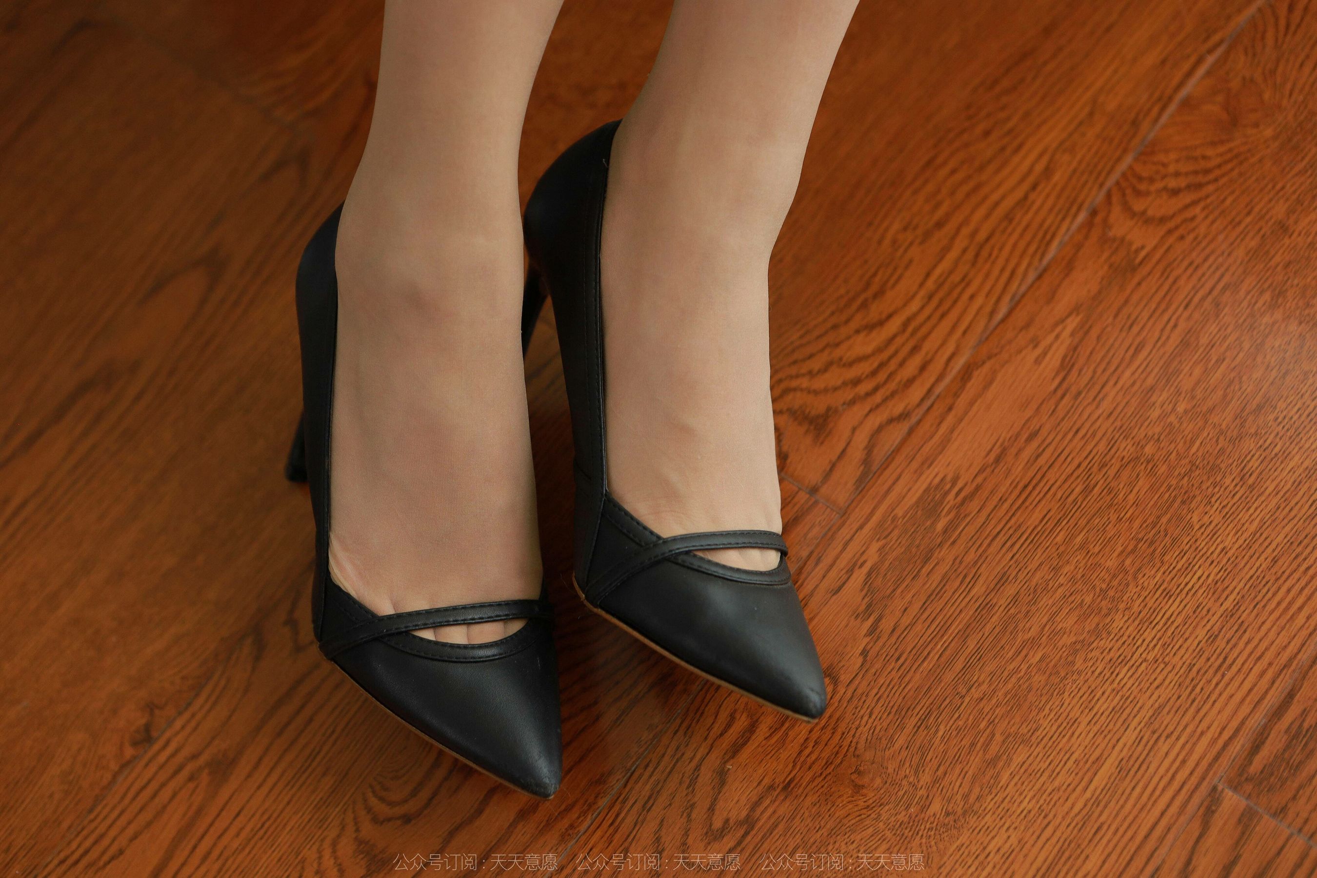 Different Thoughts to IESS Model Shanshan Perfect Secretary