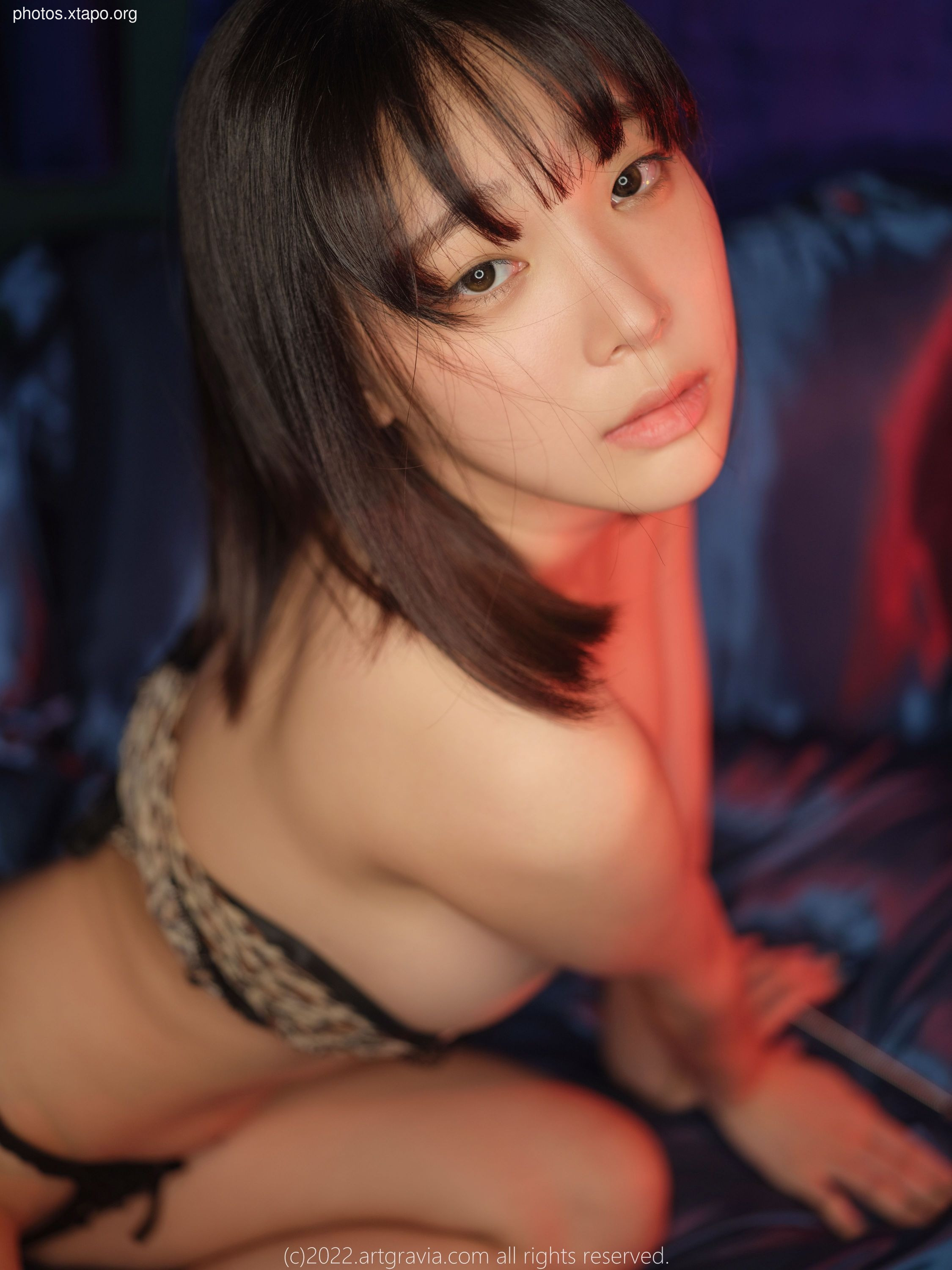 ARTGRAVIA_VOL43494P-219MB