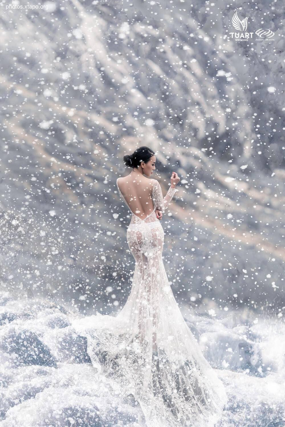 Tuyet Son Phi Ho, - Absolute Coc Coc V2 by Tuart