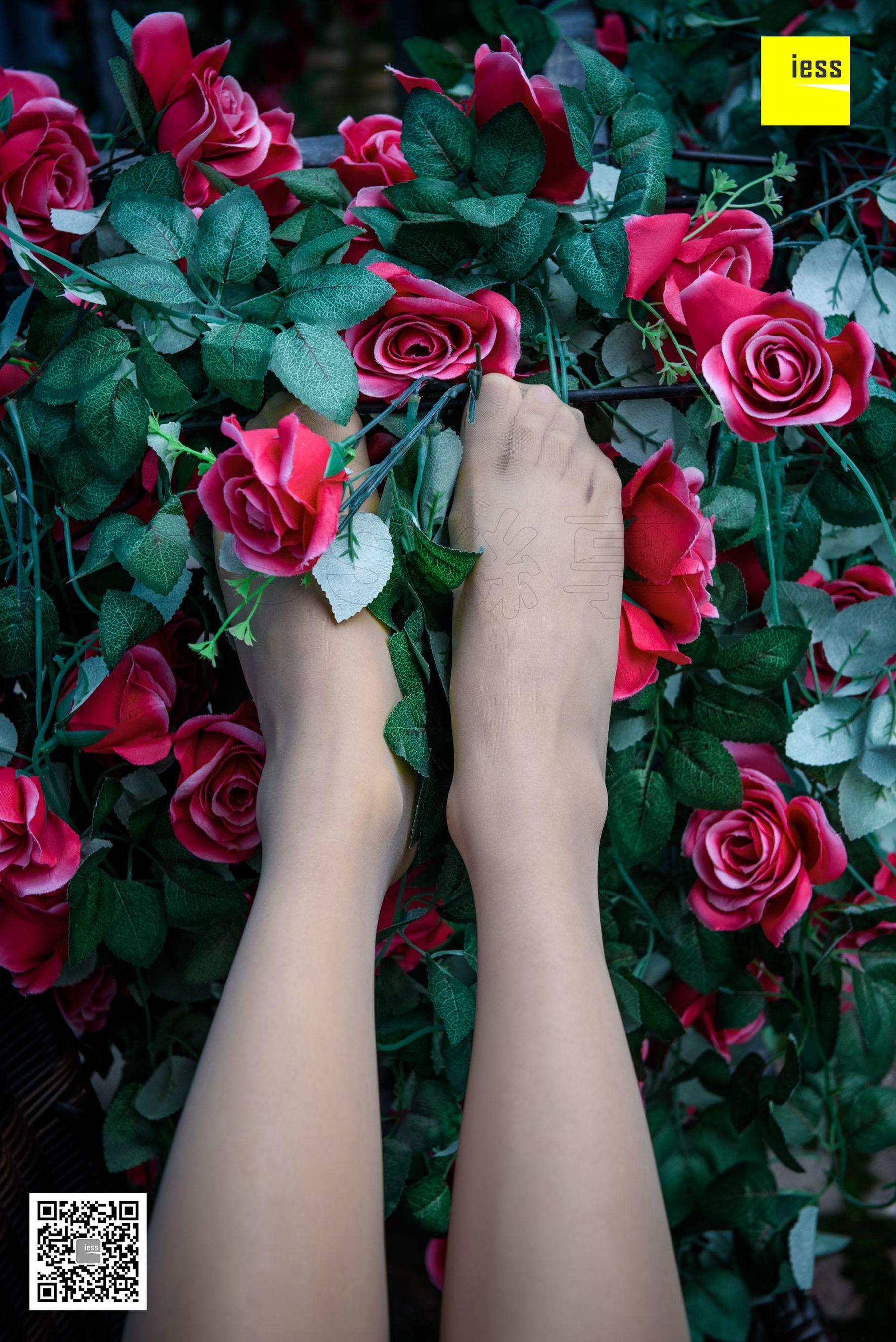 Wan Ping's Rose and Patriarchs Fun Thoughts to IESS Silk Enjoy Home 161