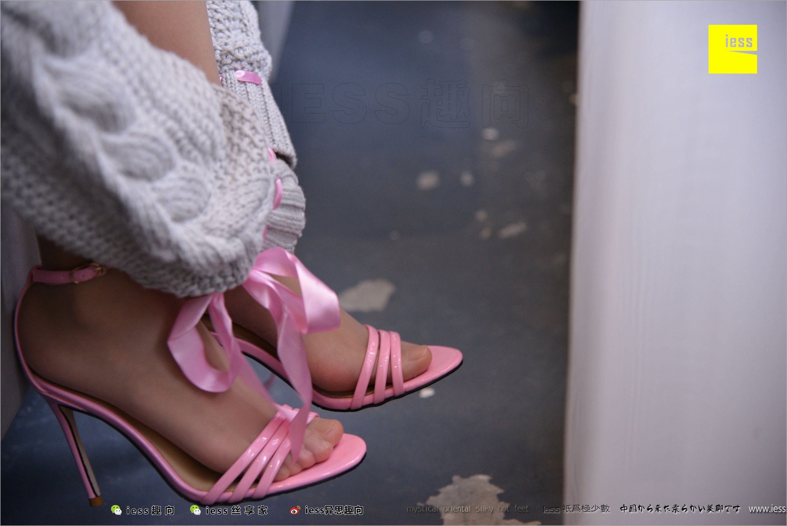 Xingzi Sao Fan Different Thoughts to IESS Silk Foot Bento 206